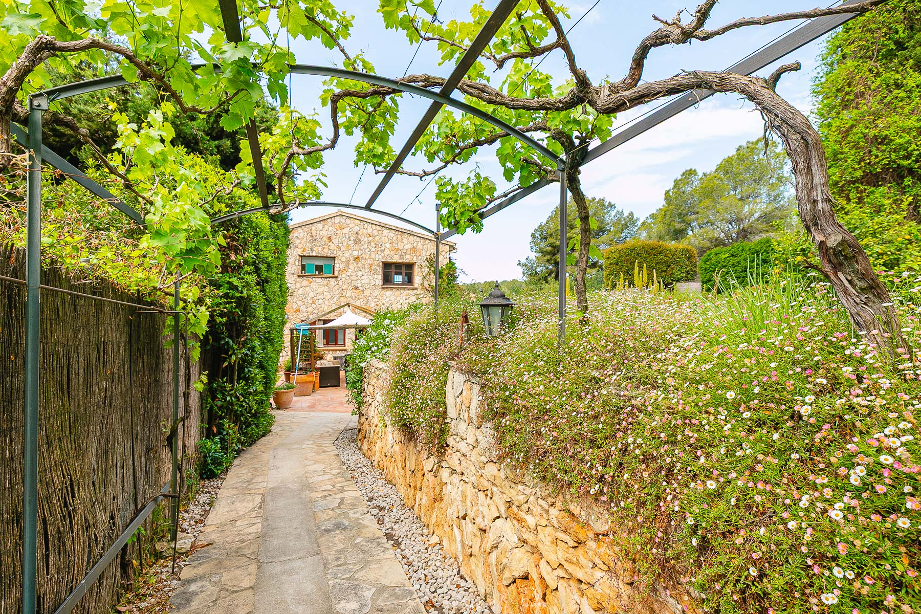  Mediterranean Country House in Sant Pere de Ribes near Sitges - 物件實景
