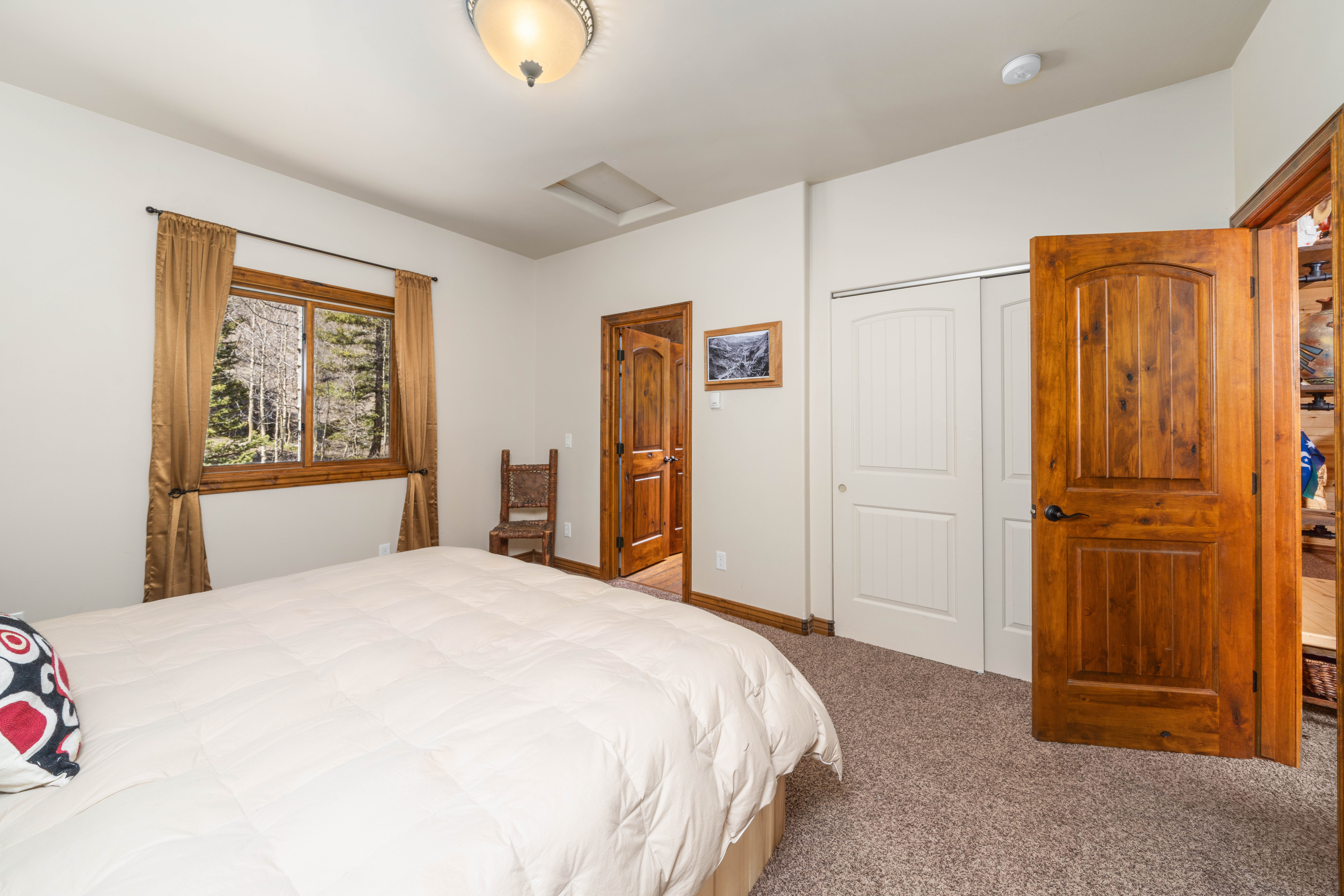  Alpine Estate with Acreage between Ouray and Silverton - 物件實景