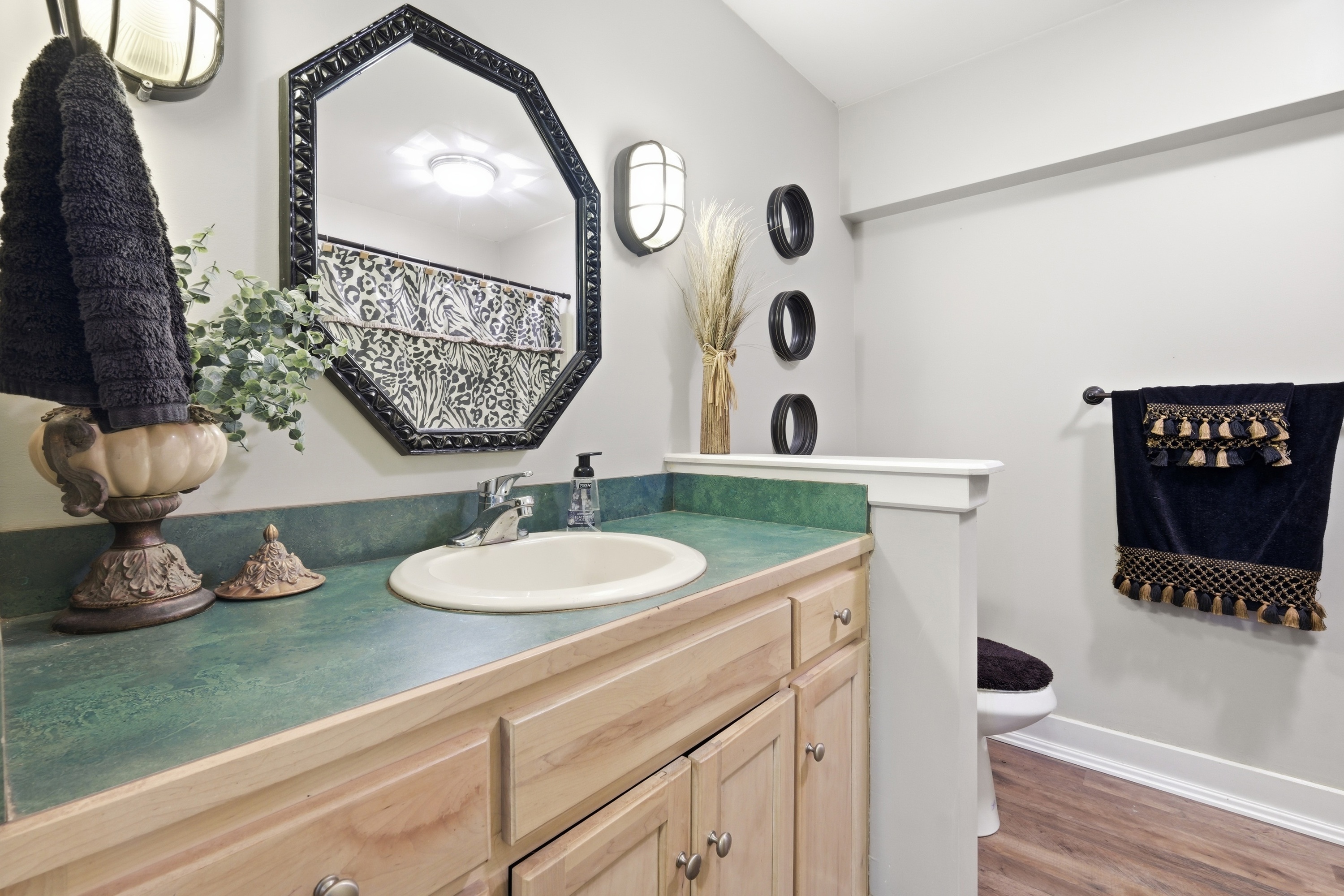  10500 Dove Tree Court, Prospect, KY 40059 - 物件實景