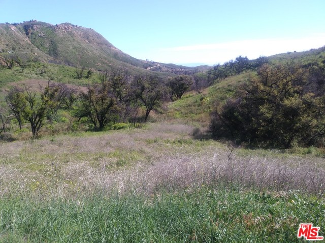 2517 Encinal Canyon Rd, Malibu, California, 90265, United States, ,Land,For Sale,2517 Encinal Canyon Rd,1435448