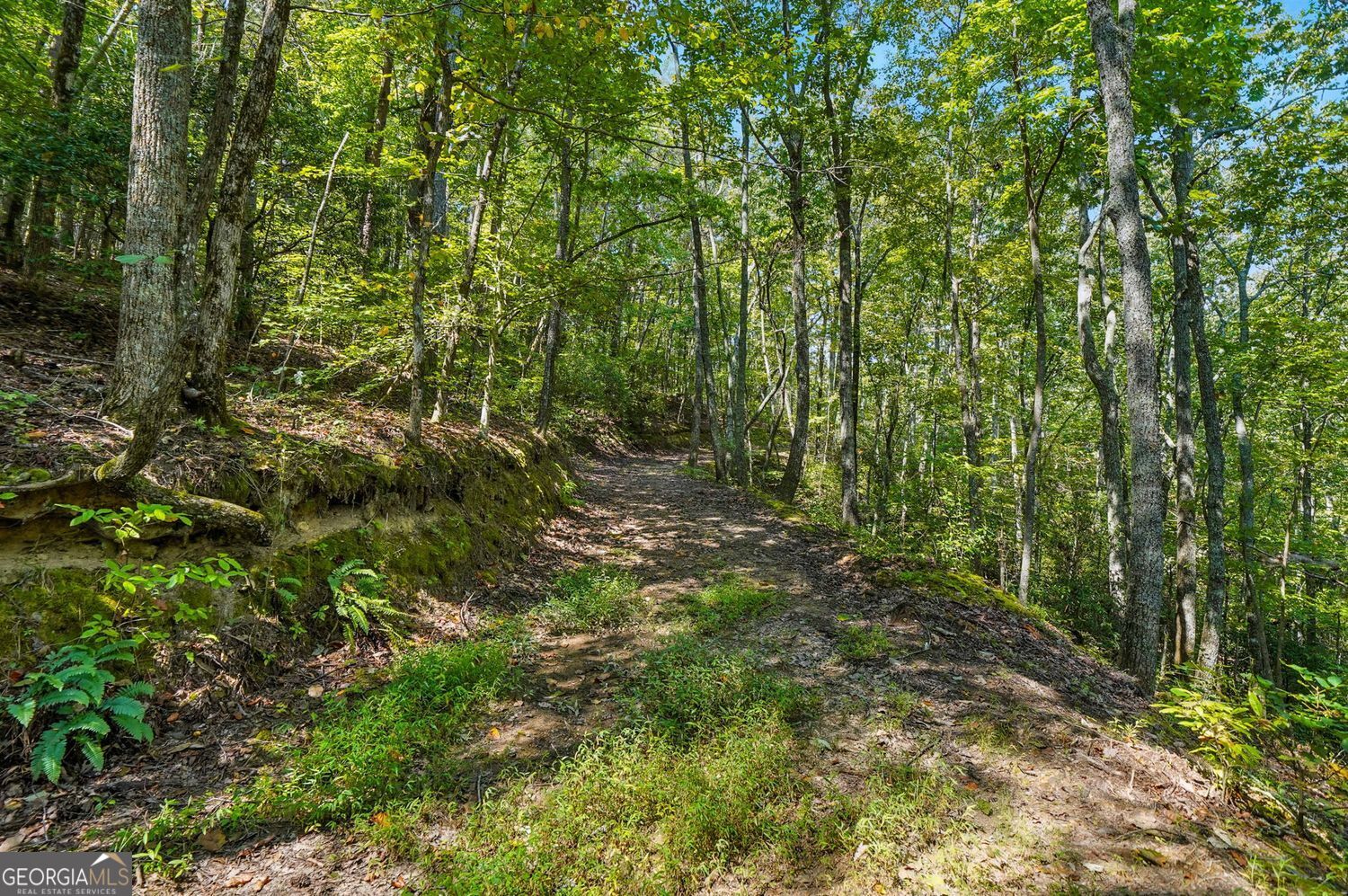 Waleska, Georgia, 30183, United States, ,Land,For Sale,1929808