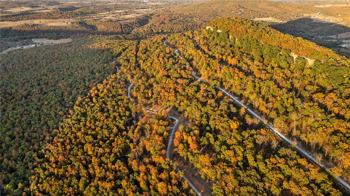 Harrison, Arkansas, 72601, United States, ,Land,For Sale,1903460