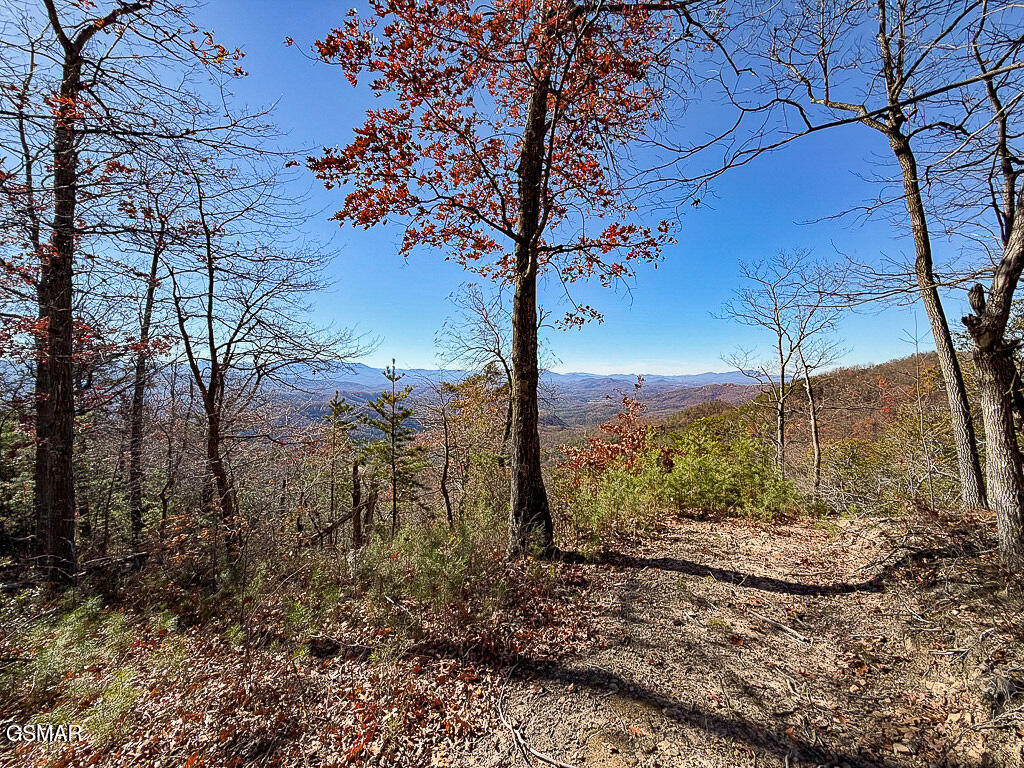 Sevierville, Tennessee, 37876, United States, ,Land,For Sale,2008093