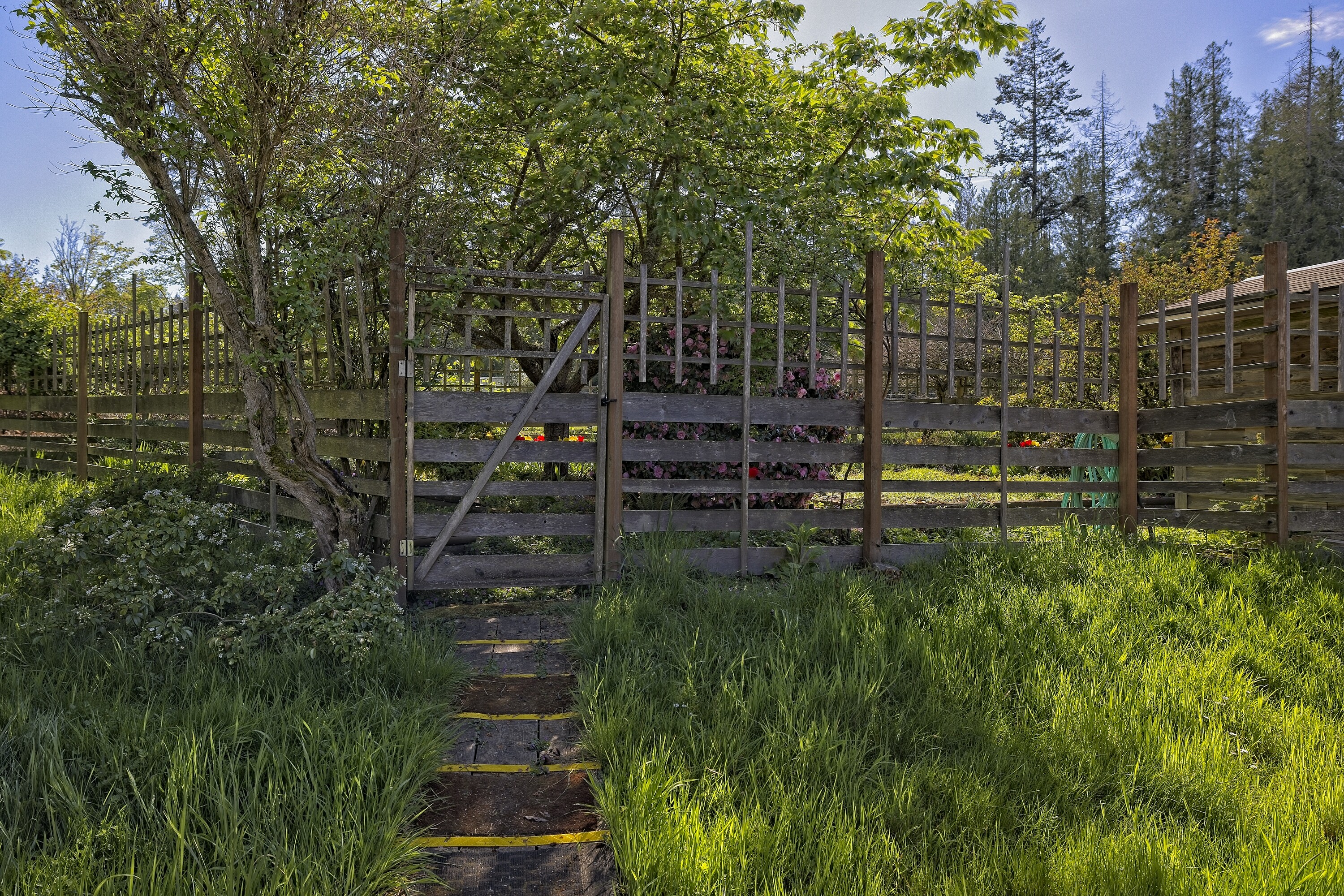  Bullfinch Farm - 物件實景