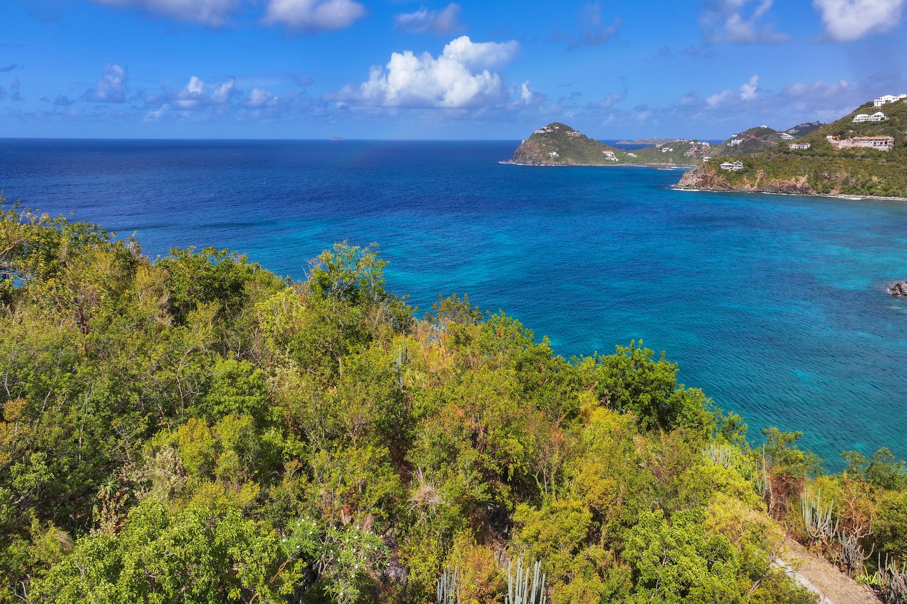  15A-9-8 Rendezvous & Ditleff - 物件實景