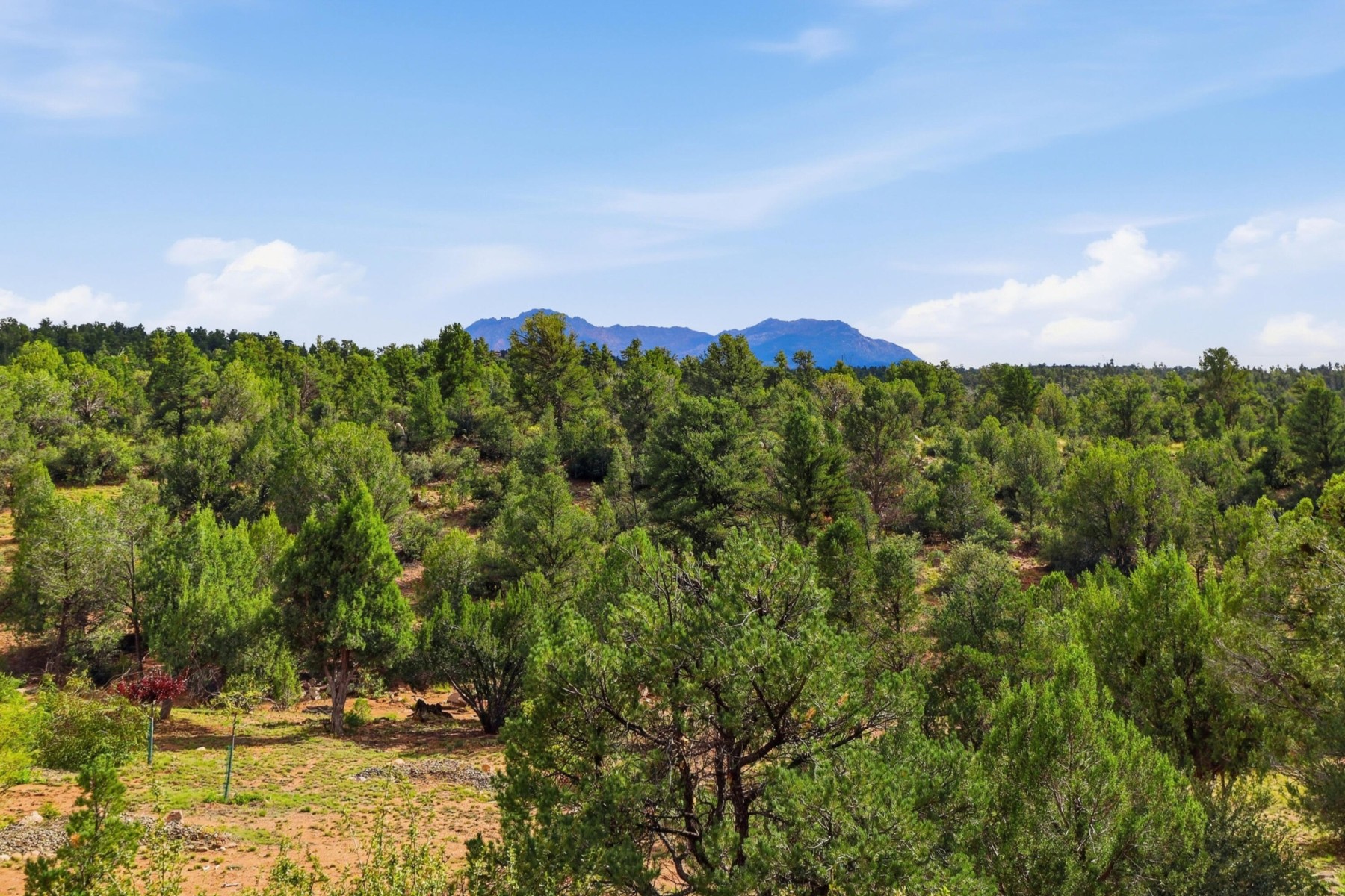  15050 N Wilderness Way¦Prescott, AZ - 物件實景