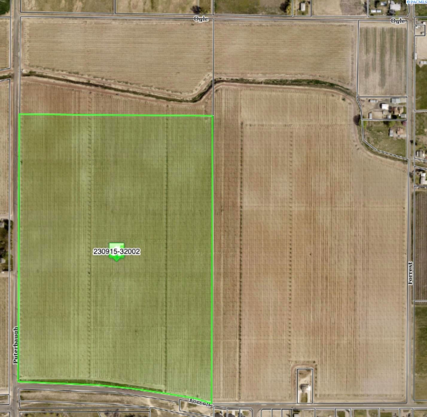 Grandview, Washington, 98930, United States, ,Land,For Sale,1976550