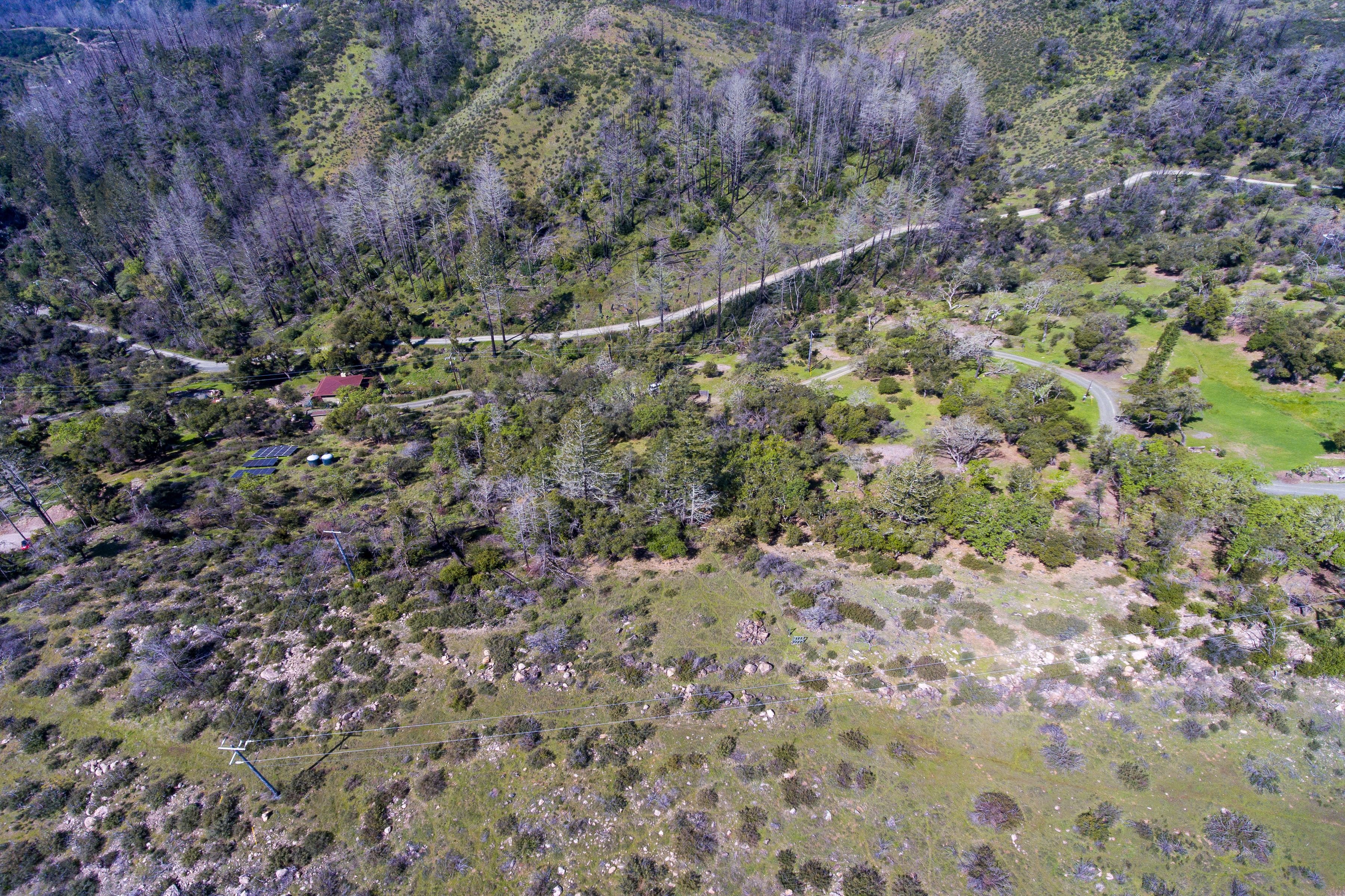  7935 St Helena Road - 物件實景