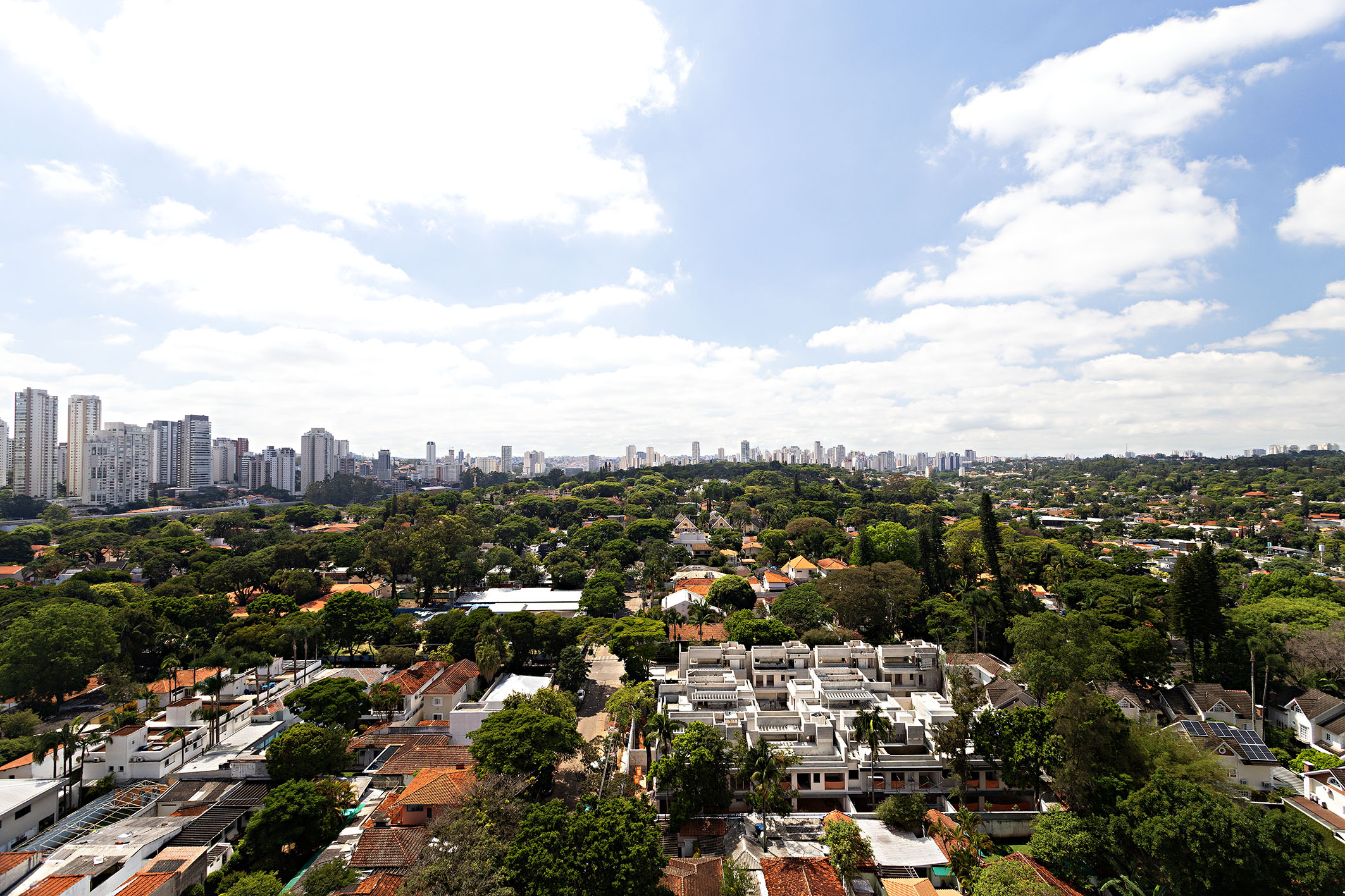  Apartment with permanent green views and tailored interior finishes - 物件實景
