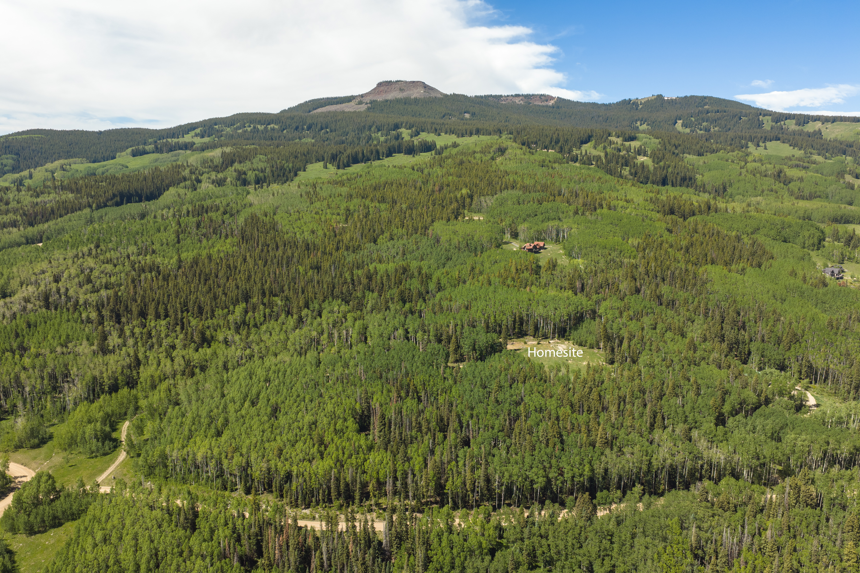  141 White Buffalo Trail, Crested Butte, CO, 81224 - 物件實景