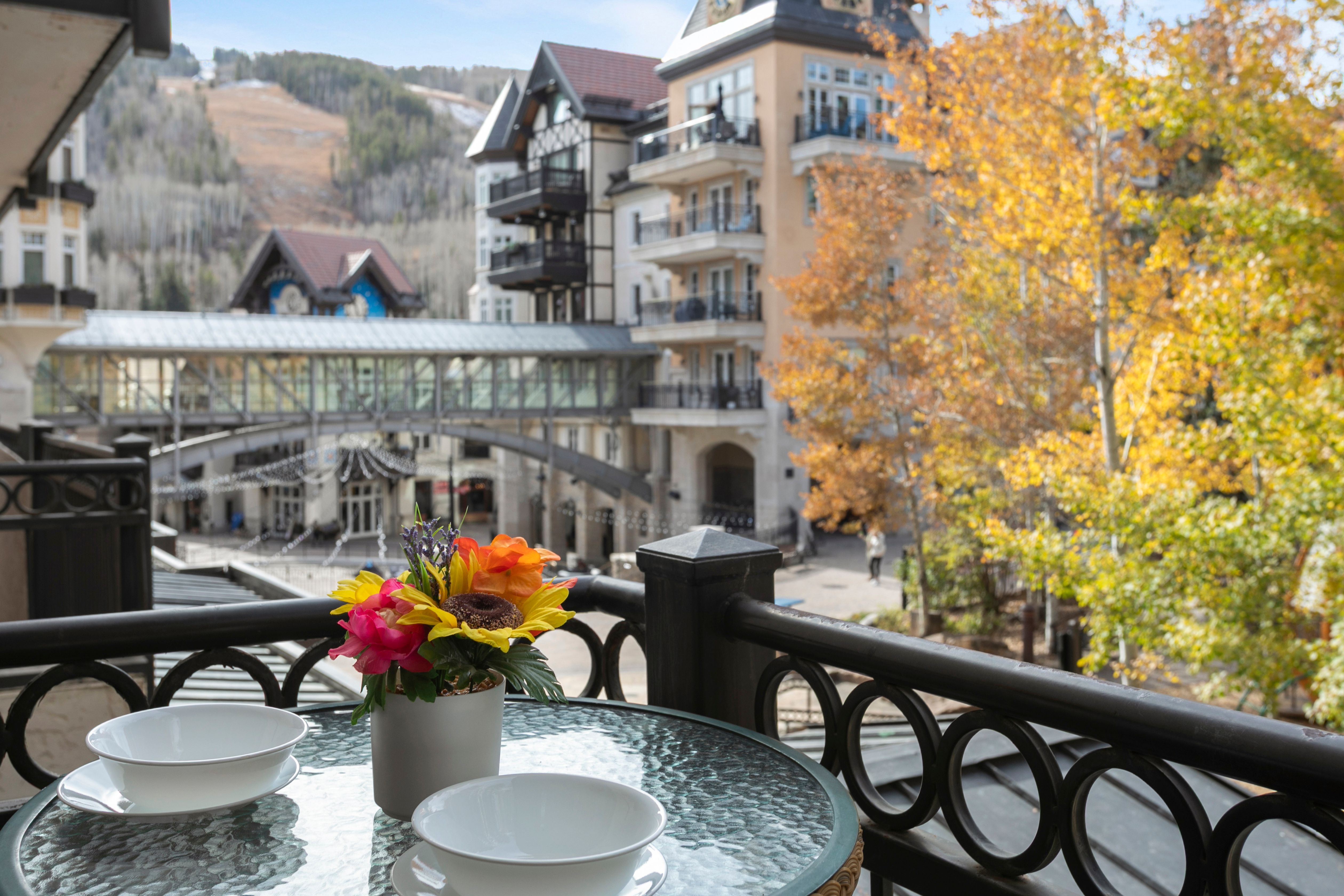  555 E Lionshead Circle, Vail, CO, 81657 - 物件實景