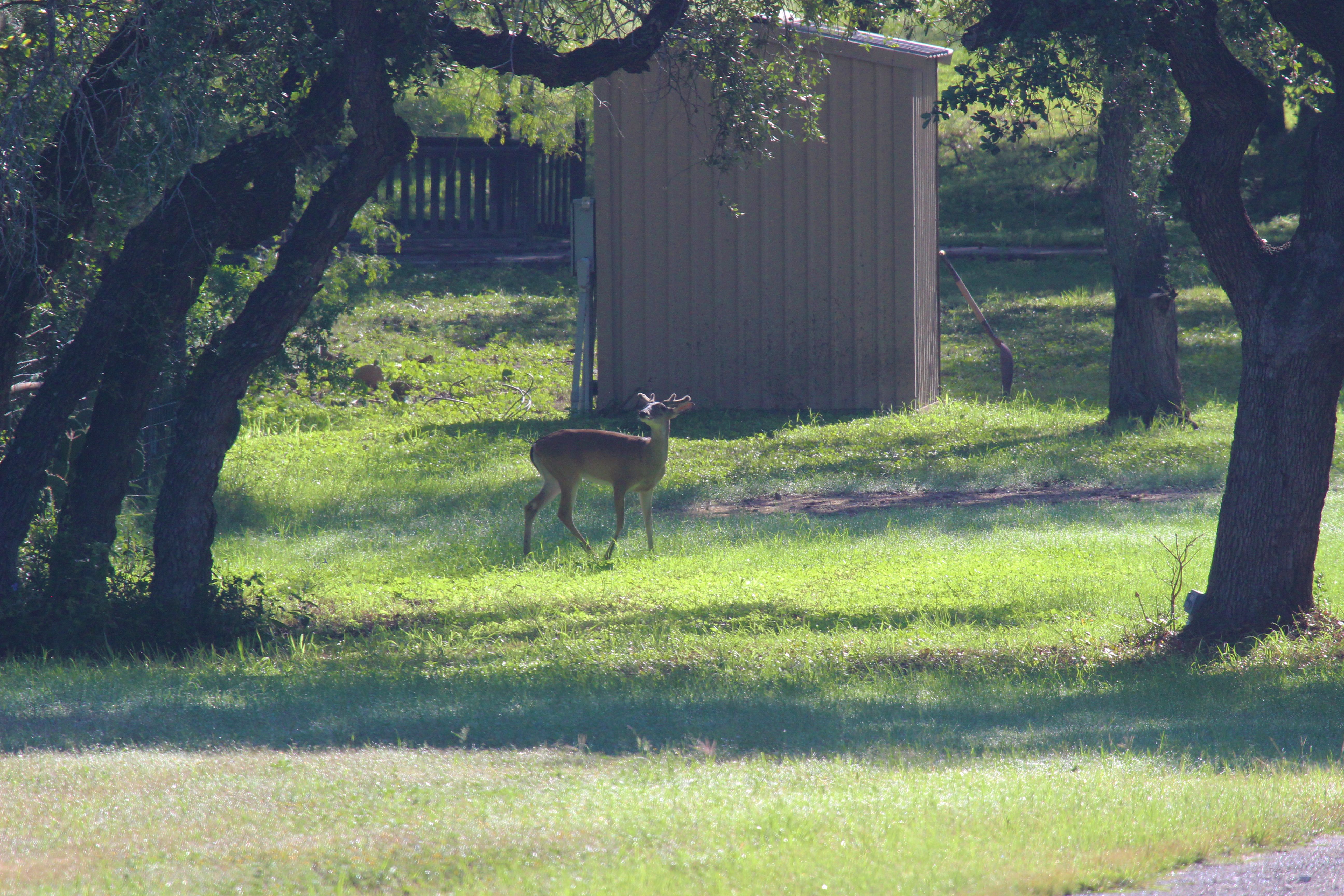 Apache Hill Ranch in Uvalde County - 物件實景