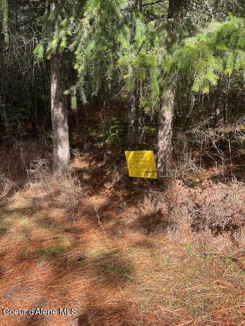 Hauser, Idaho, 83854, United States, ,Land,For Sale,1978090