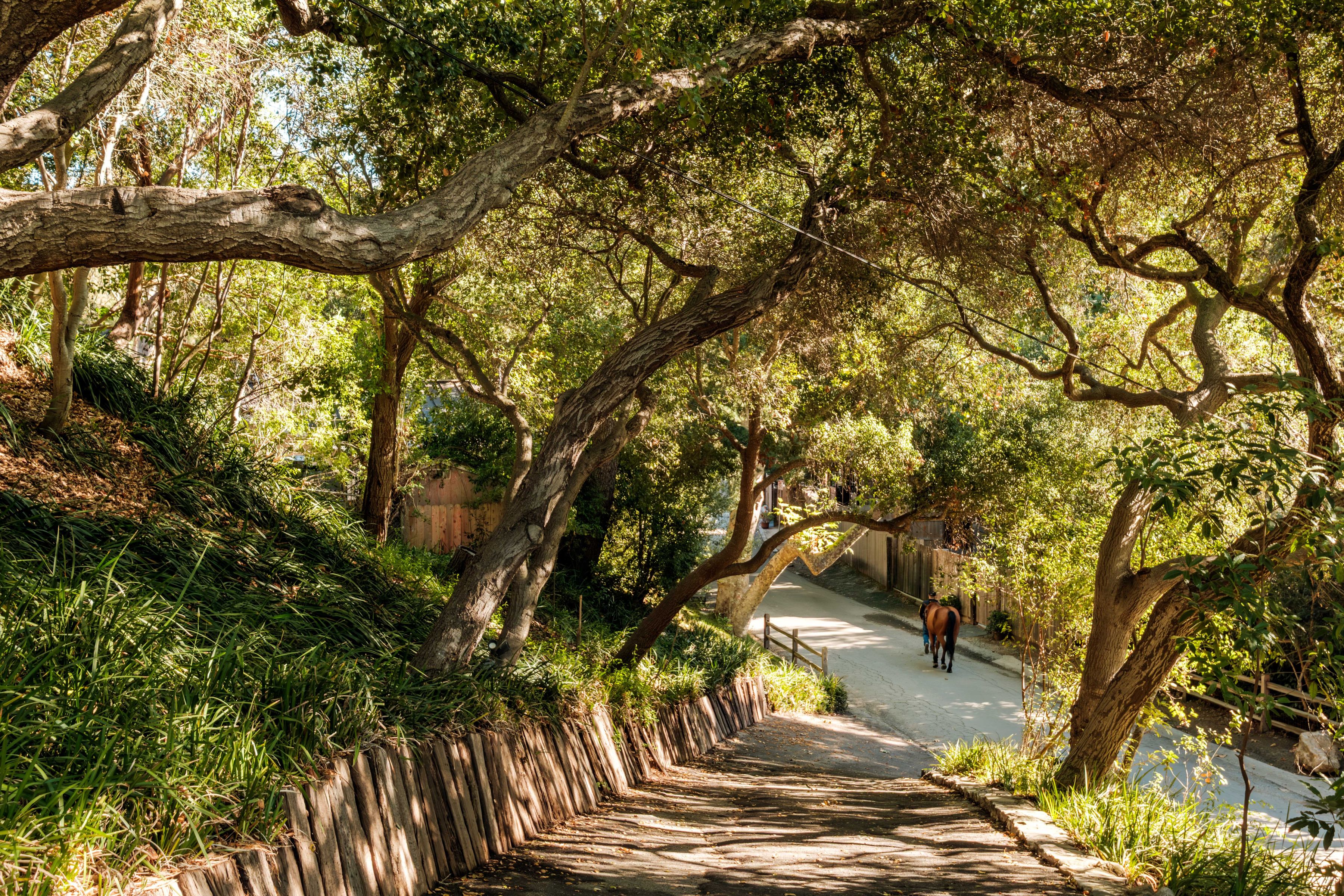  1784 Old Ranch Road - 物件實景