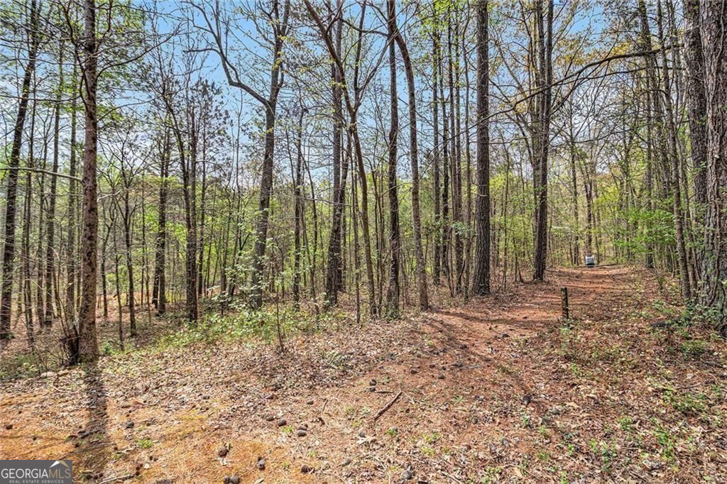 Douglasville, Georgia, 30135, United States, 5 Bedrooms Bedrooms, ,4 BathroomsBathrooms,Residential,For Sale,1886853