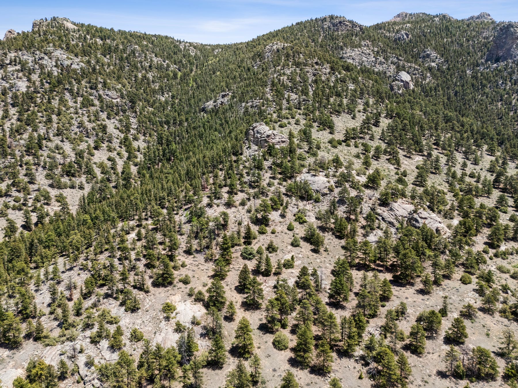  Exclusive Opportunity in Estes Park - 21.78 Acres in Uplands at Fish Creek - 物件實景
