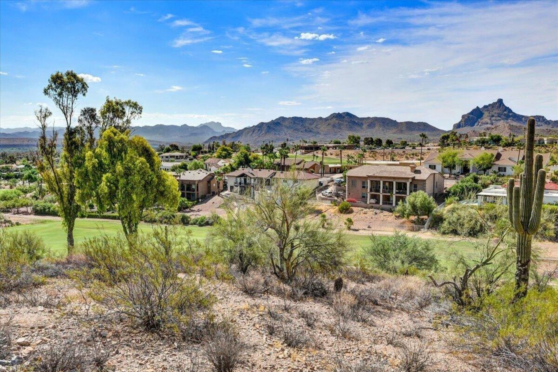  10806 N Cherry Hills Court¦Fountain Hills, AZ - 物件實景