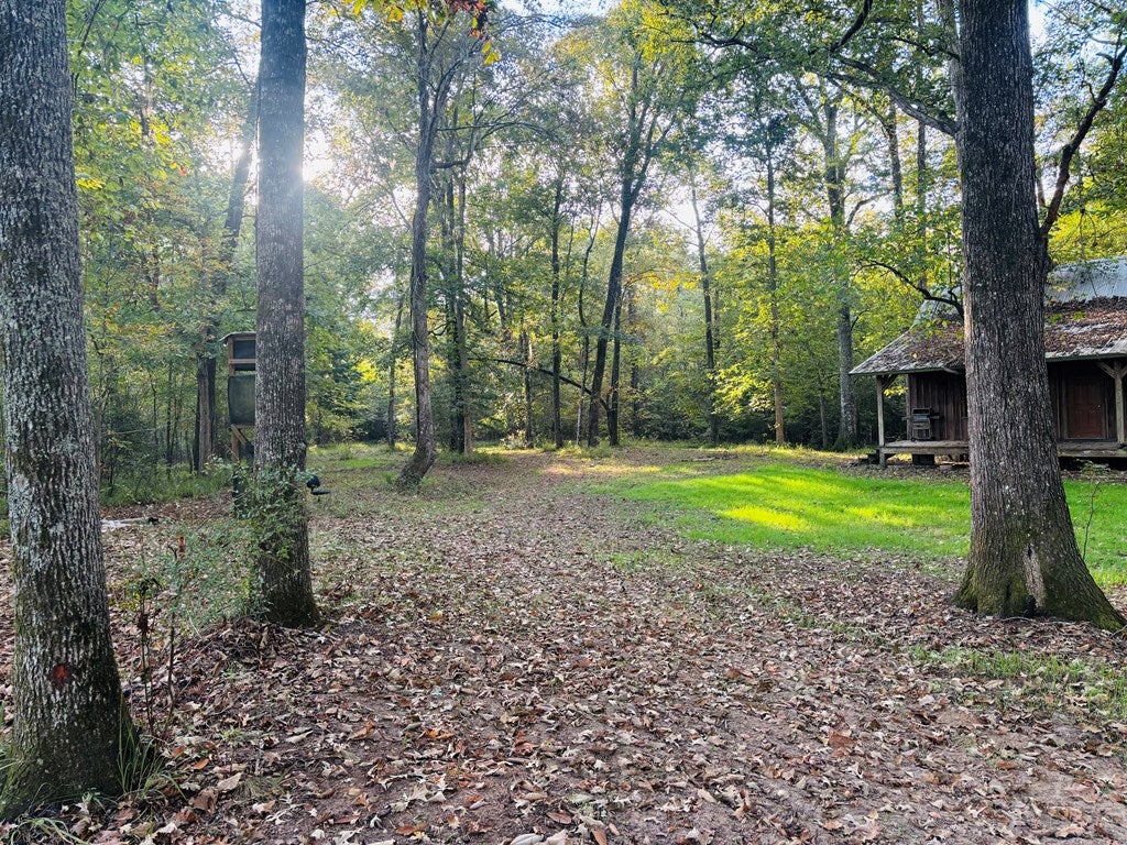 Abbeville, Georgia, 31001, United States, ,Land,For Sale,1975130