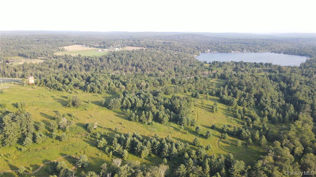 Monticello, New York, 12701, United States, ,Residential,For Sale,1910710