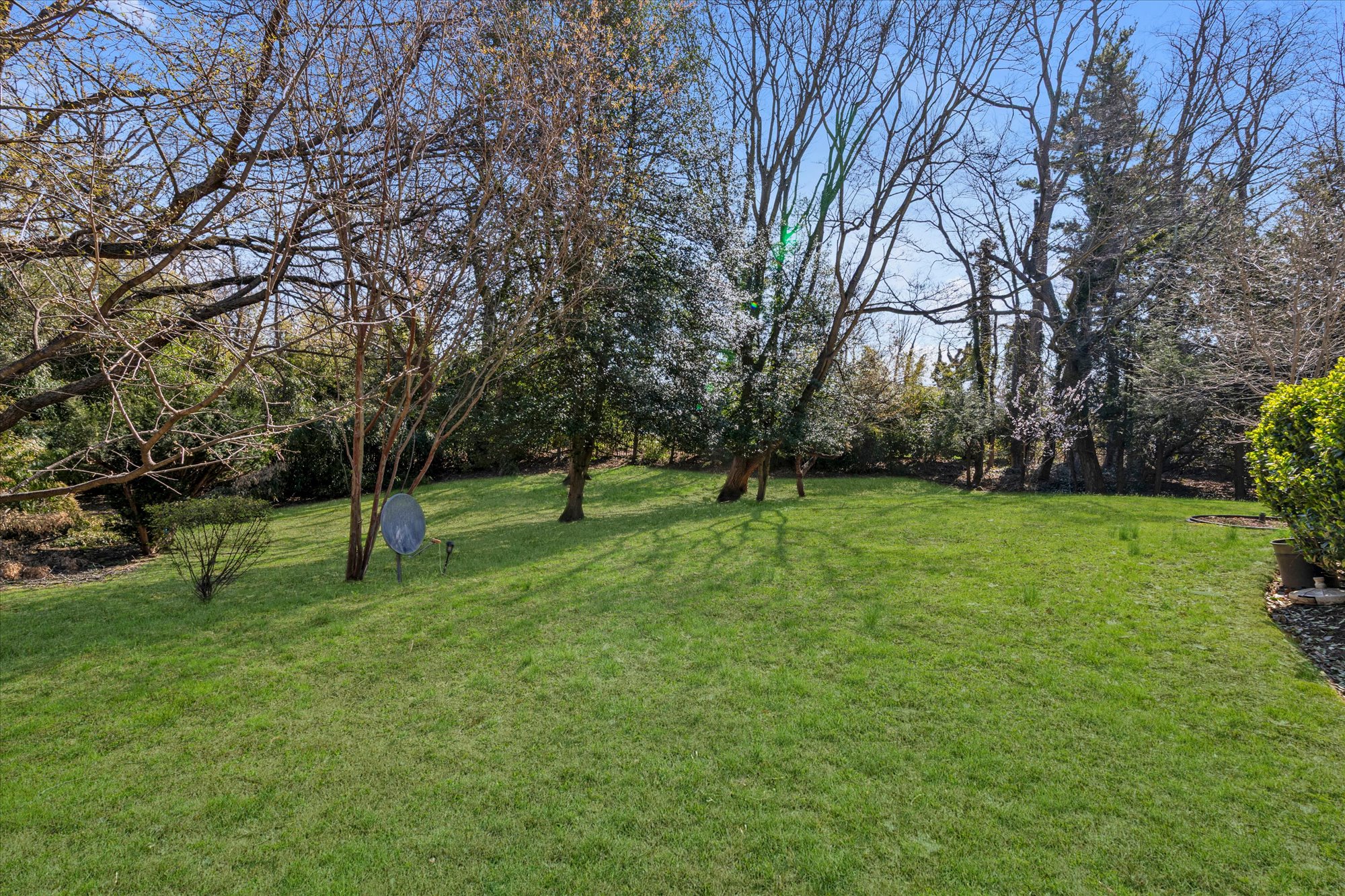  49 The Birches, Roslyn, NY, 11576 - 物件實景