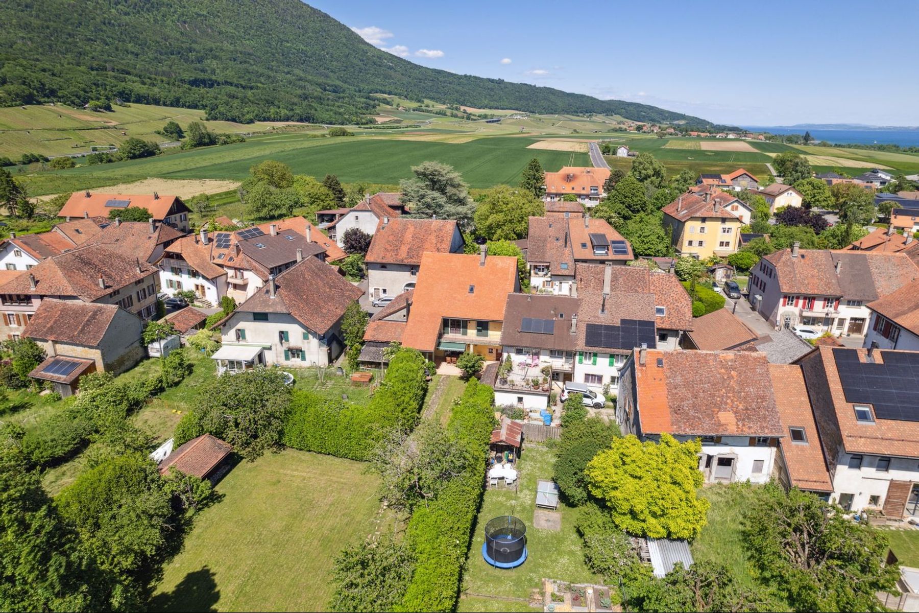  Property with authentic charm, meticulous finishings and large garden - 物件實景