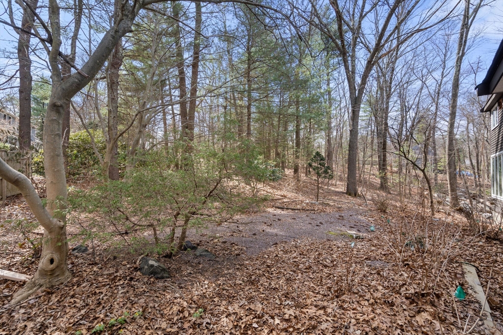 Weston, Massachusetts, 02493, United States, ,Residential,For Sale,1766237