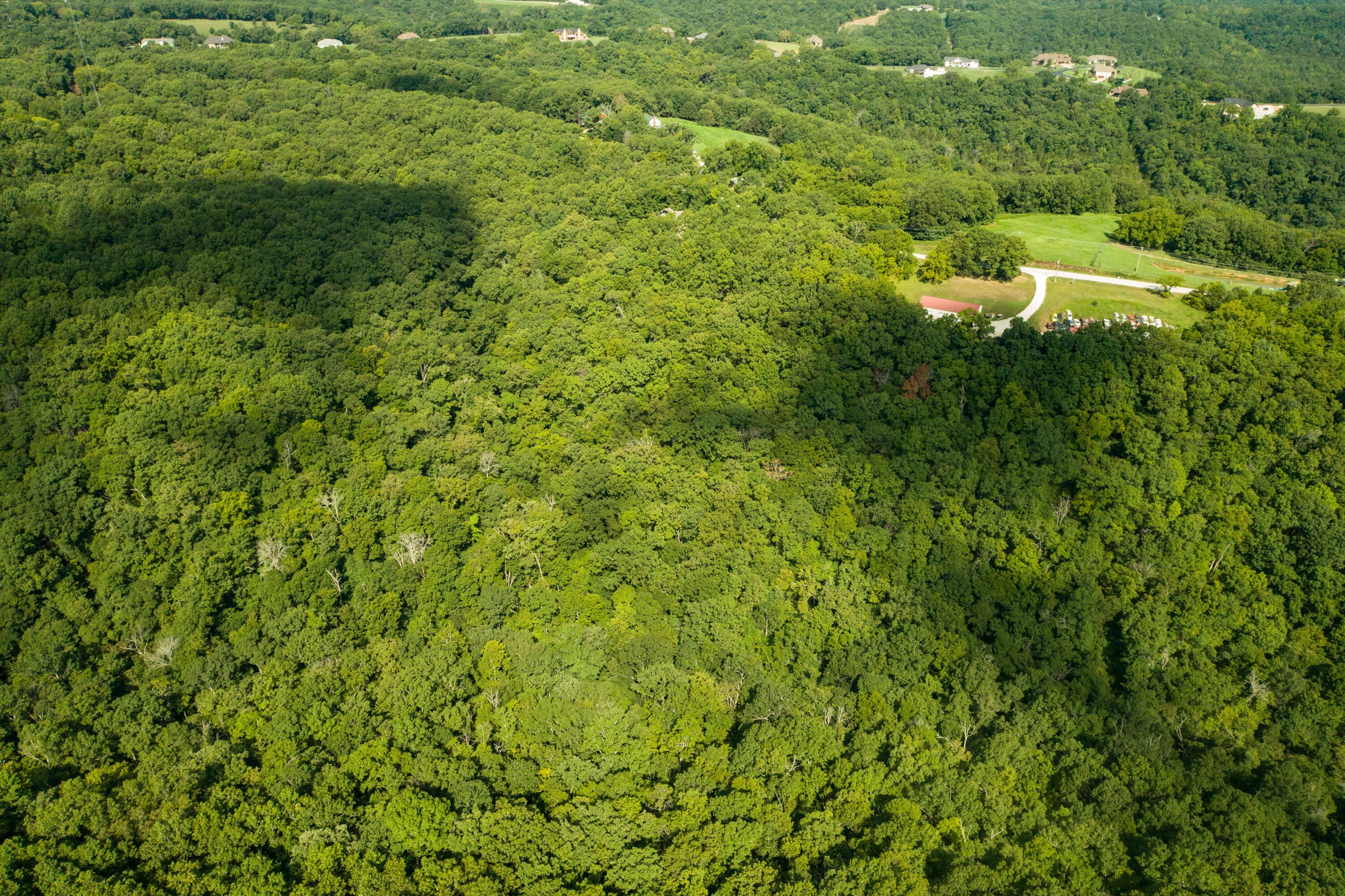 Walnut Shade, Missouri, 65771, United States, 6 Bedrooms Bedrooms, ,5 BathroomsBathrooms,Residential,For Sale,1975828