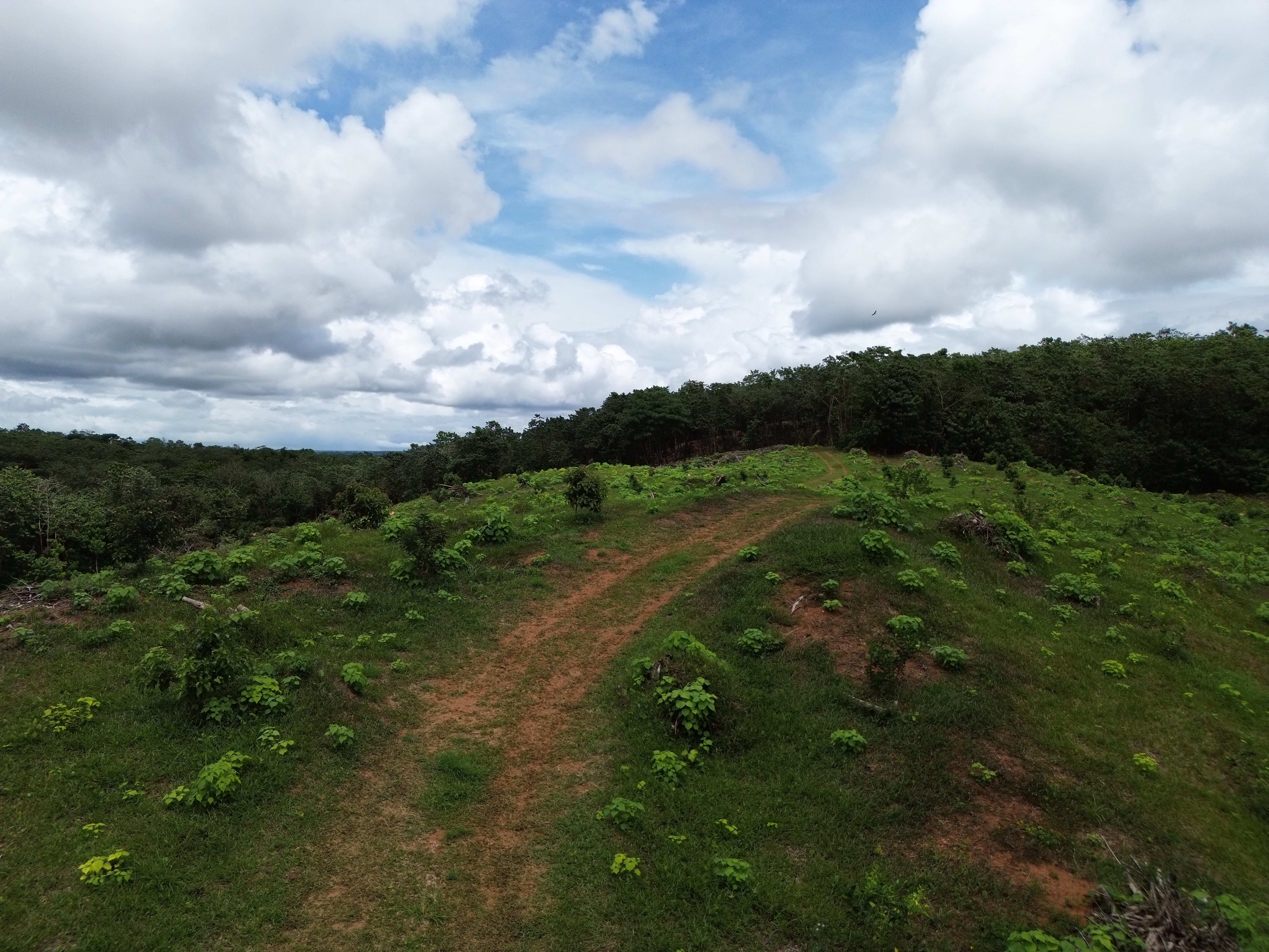 Palmar Norte, Palmar, Puntarenas, CR, ,Land,For Sale,Palmar Norte,1667866