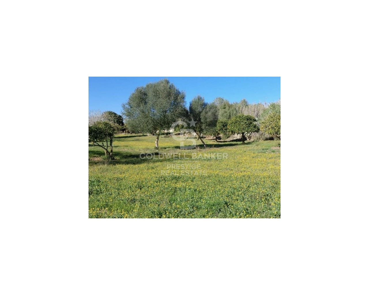 Mallorca, Art?, Art? Mallorca, Art?, Art? Mallorca, Artà, Balearic Islands, 07570, ES, 5 Bedrooms Bedrooms, ,2 BathroomsBathrooms,Residential,For Sale,Mallorca, Art?, Art? Mallorca, Art?, Art? Mallorca,1623997