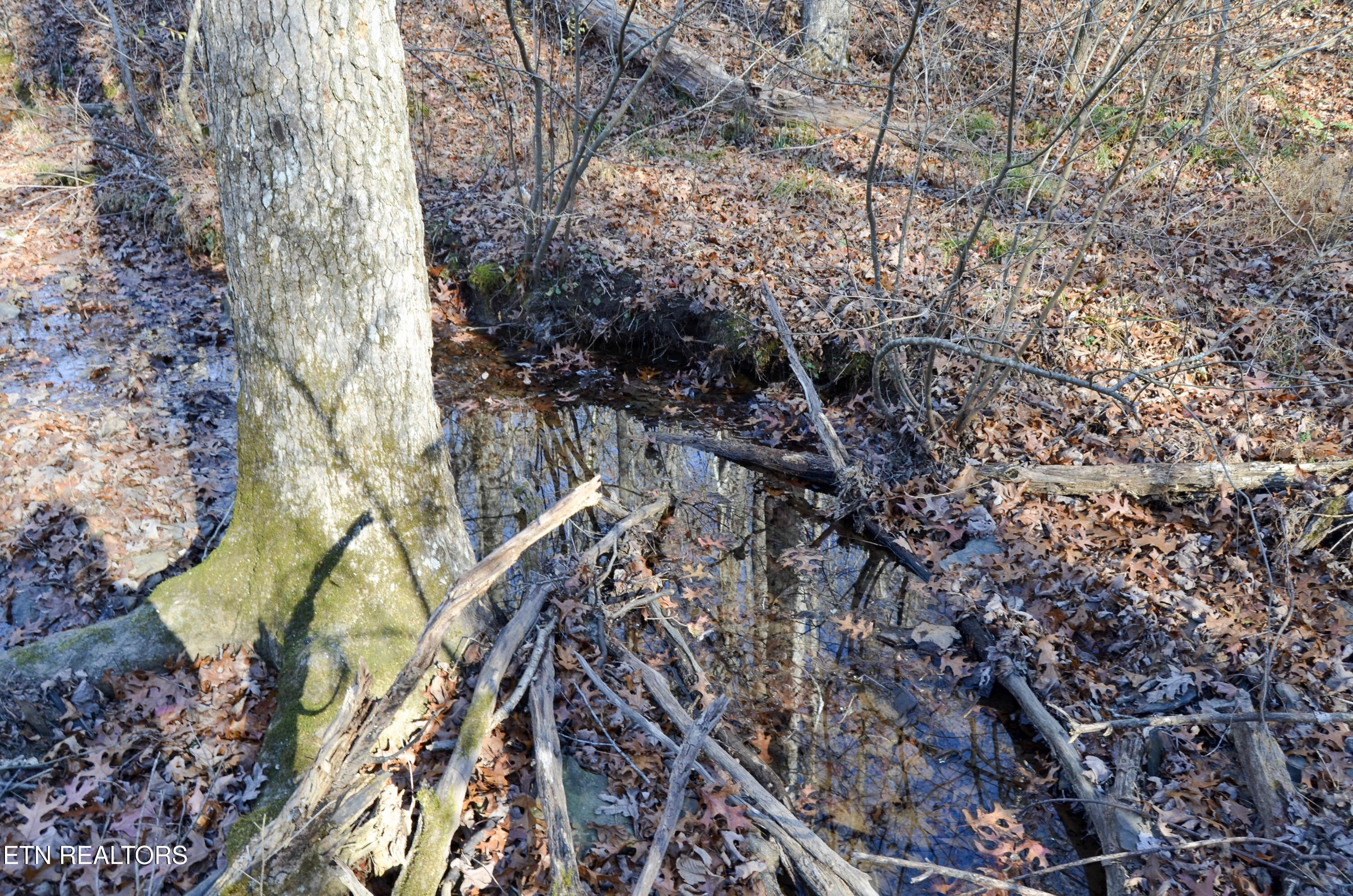 Crossville, Tennessee, 38555, United States, ,Land,For Sale,1978266