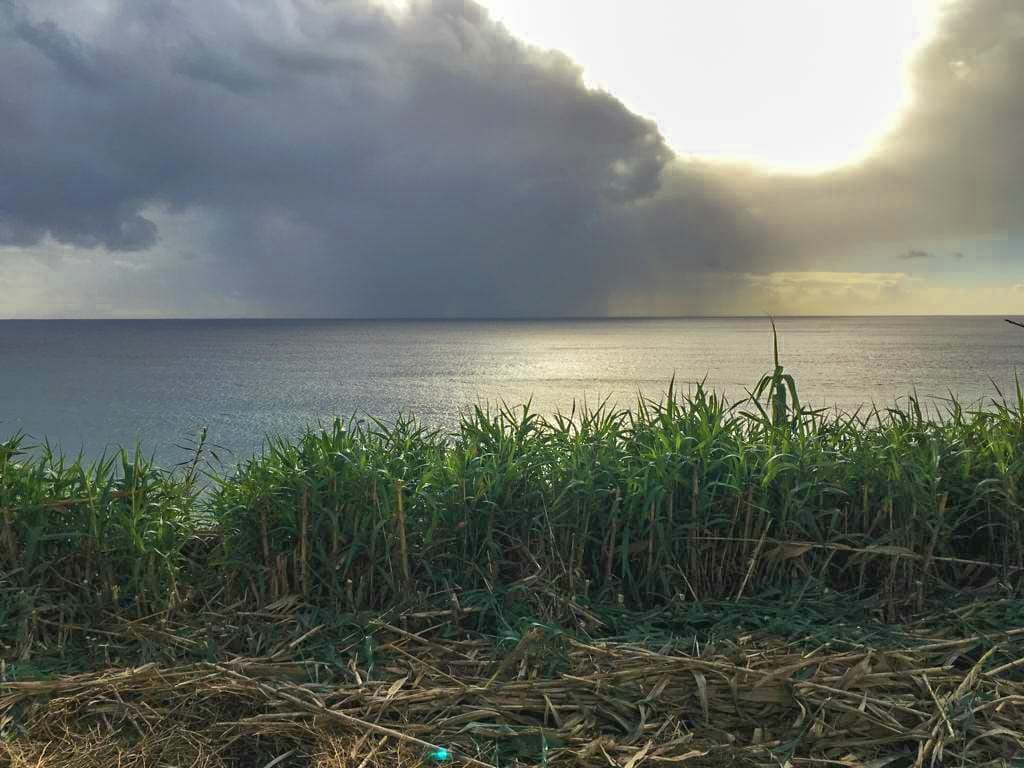 Lagoa (Açores), Ilha de São Miguel, 9560-501, PT, ,Residential,For Sale,1991317