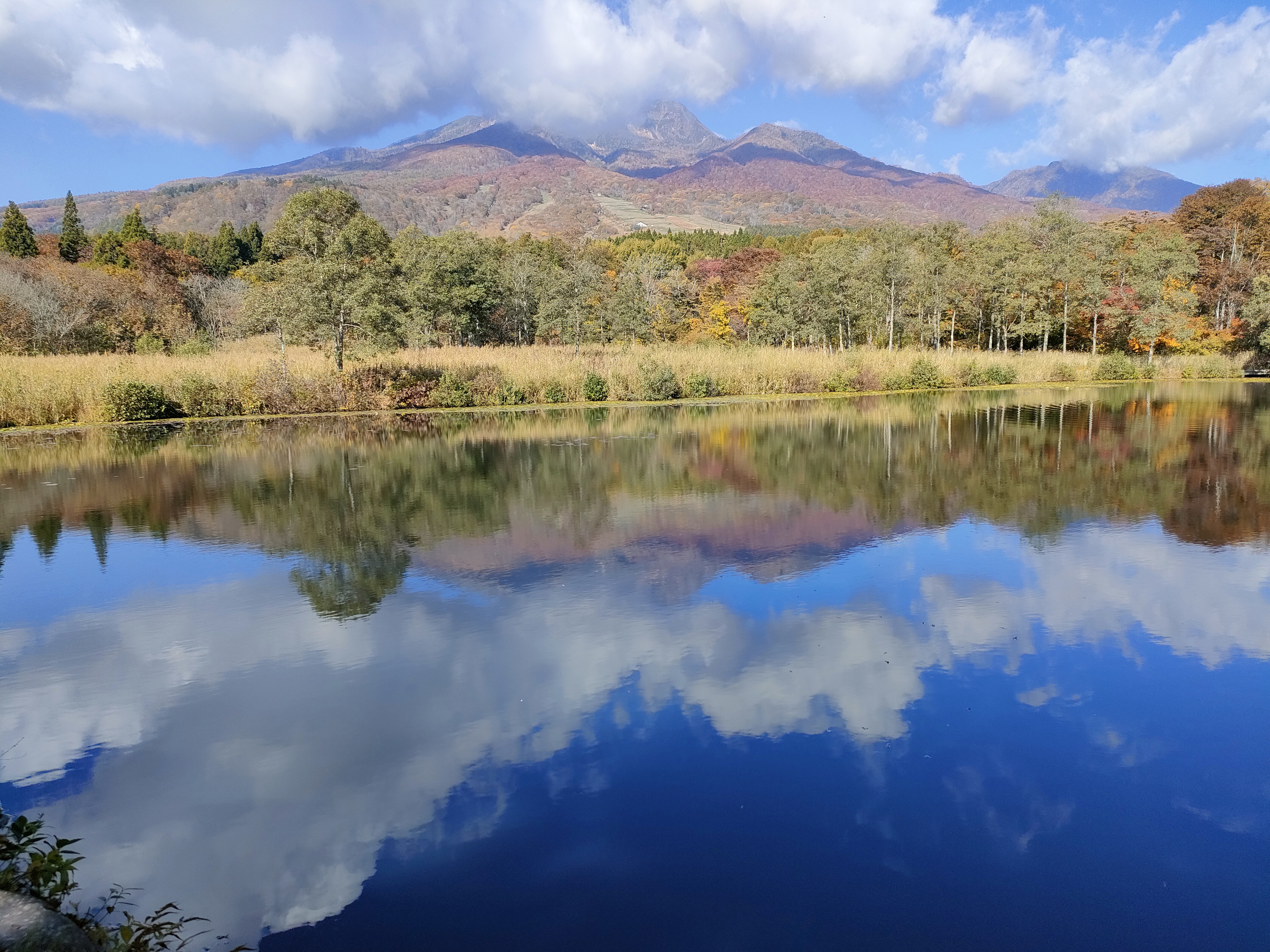  Funky Monkey Lodge, Myoko - 物件實景
