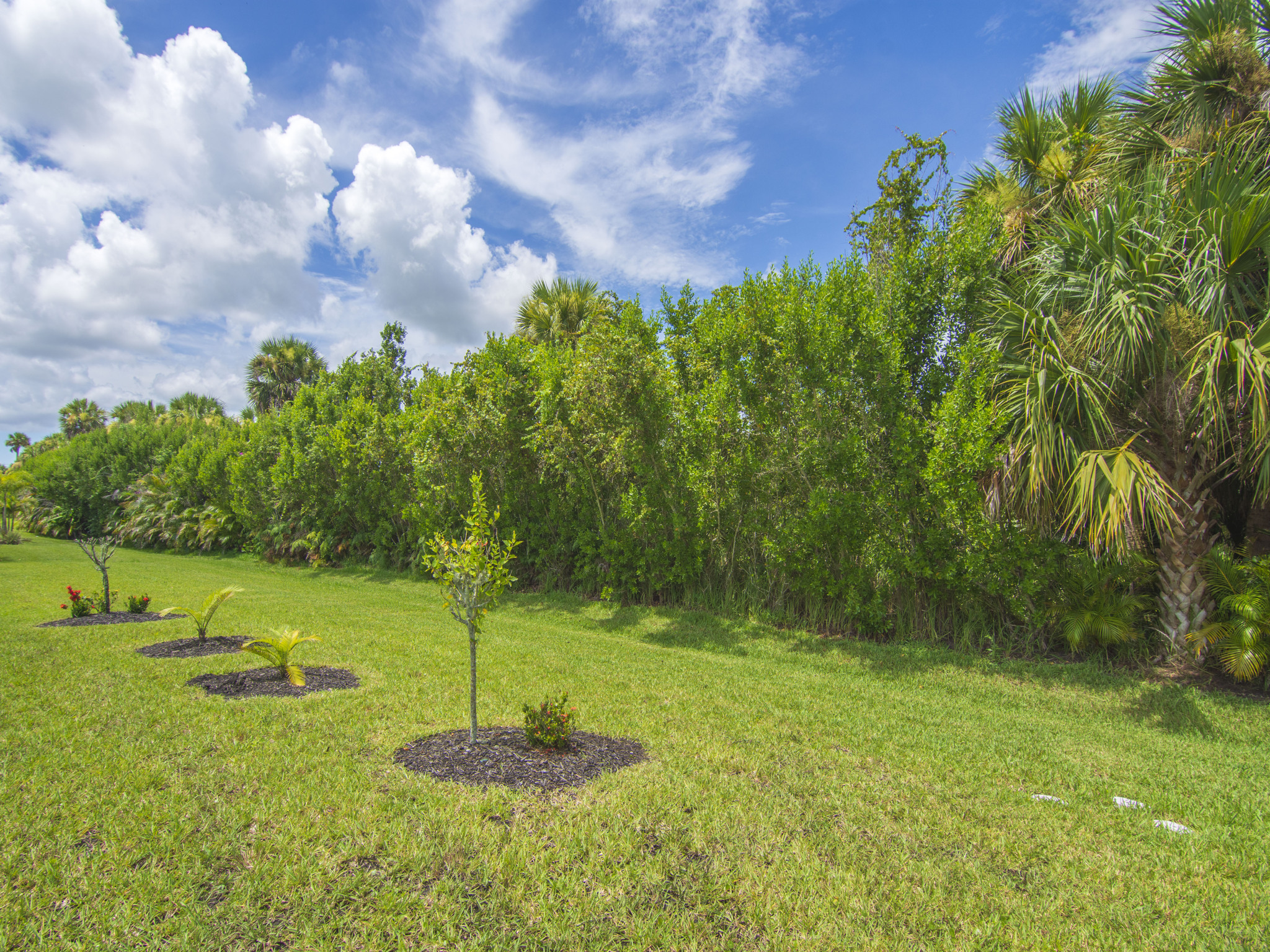  1641 Willows Square, Vero Beach, FL 32966 - 物件實景