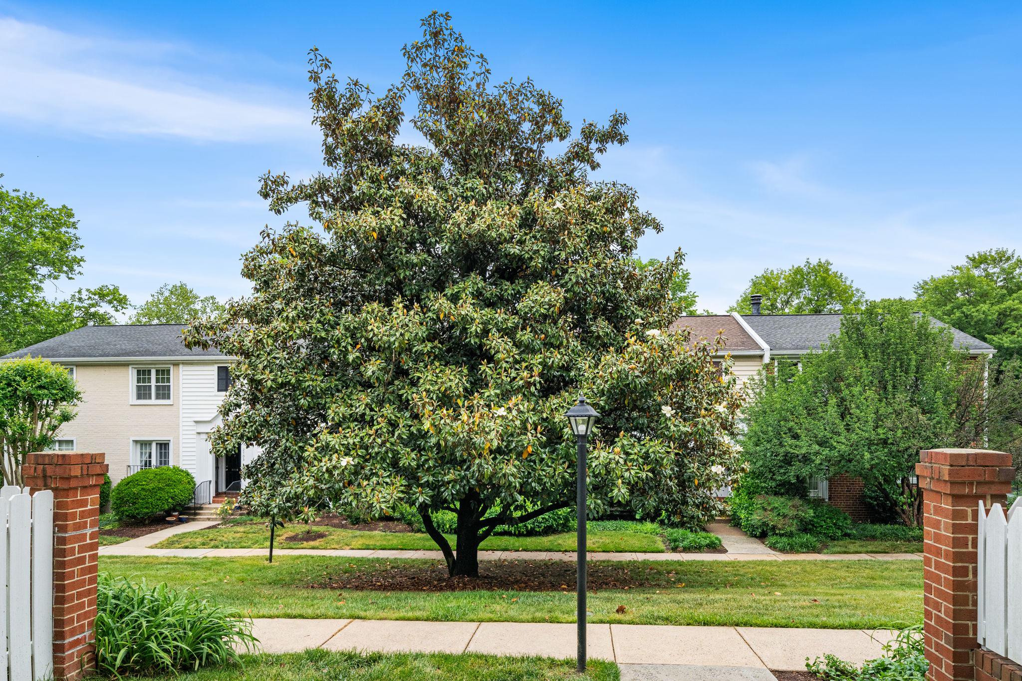  2717 s walter  reed drive, arlington, va, 22206 - 物件實景
