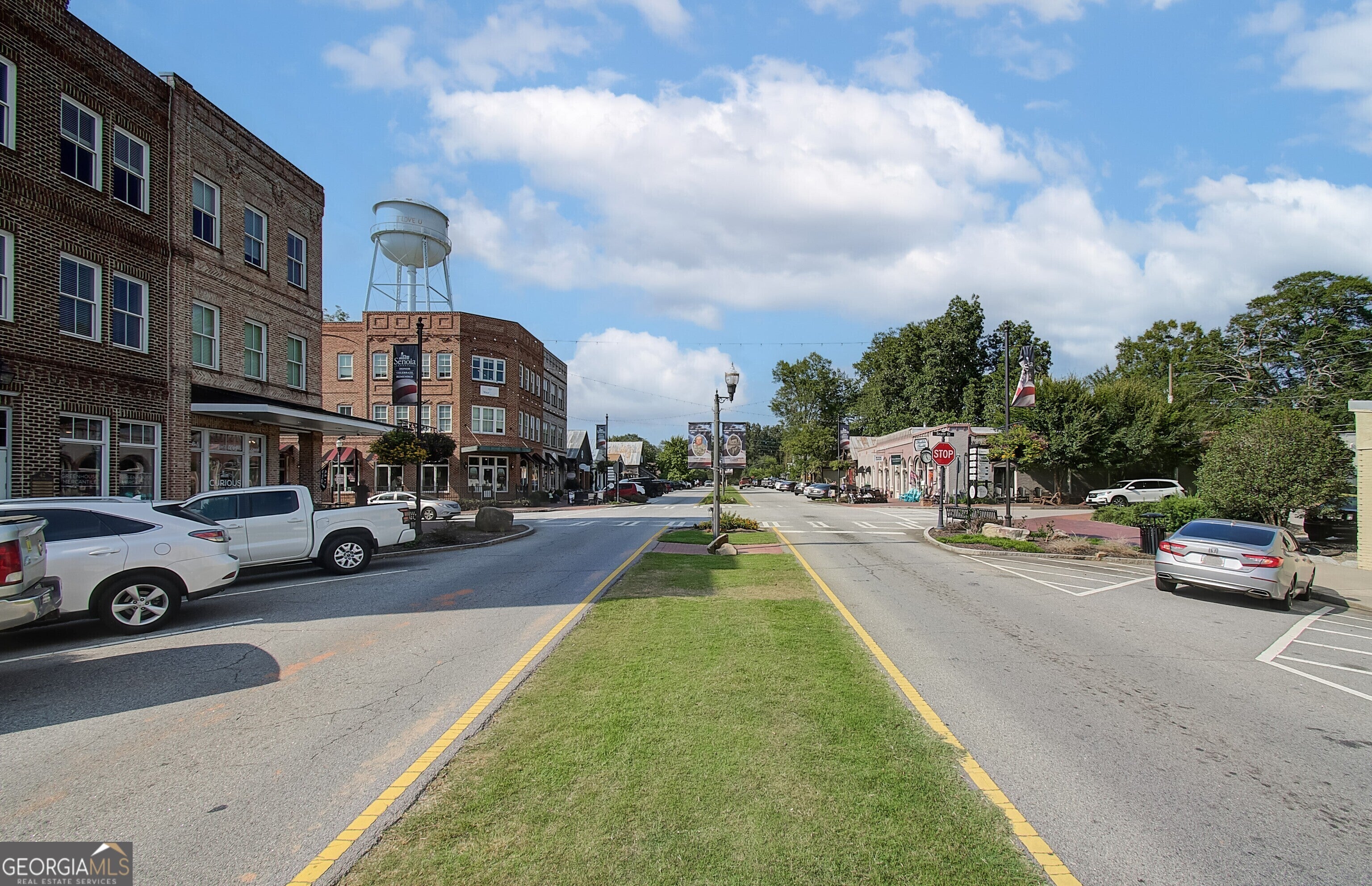 Senoia, Georgia, 30276, United States, 4 Bedrooms Bedrooms, ,4 BathroomsBathrooms,Residential,For Sale,2008995