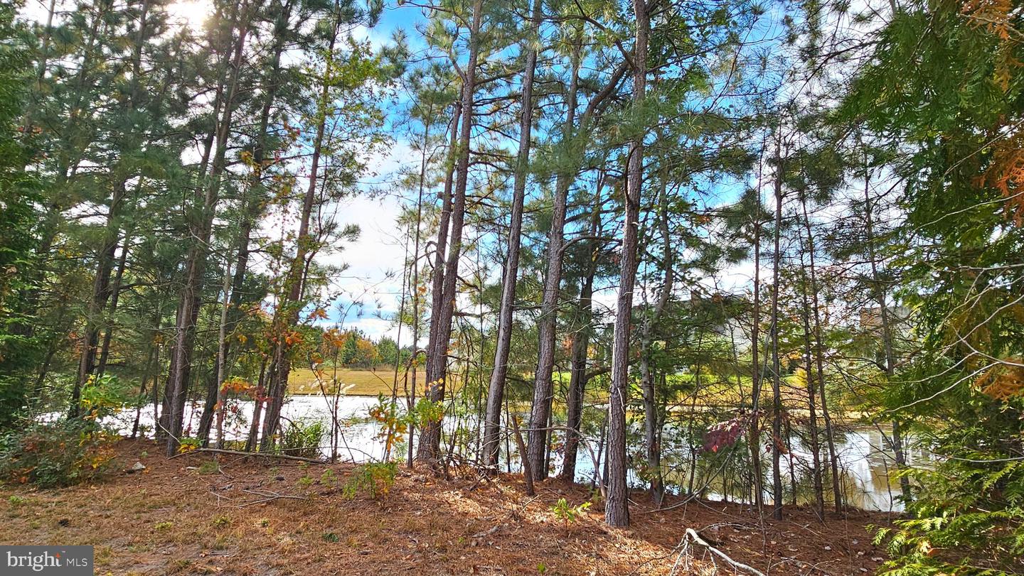 Salisbury, Maryland, 21804, United States, 4 Bedrooms Bedrooms, ,3 BathroomsBathrooms,Residential,For Sale,1996971