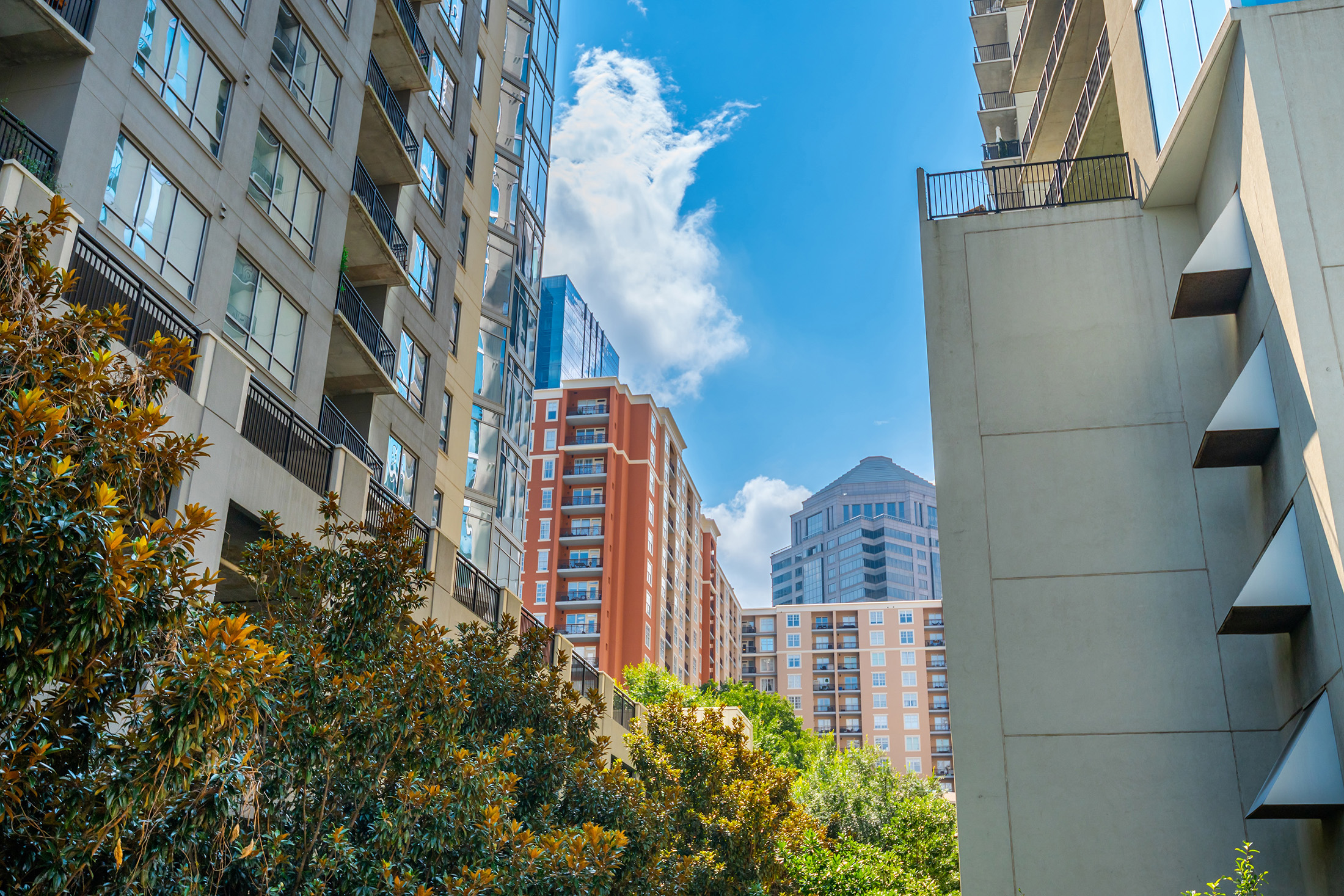  Charming Condo Just Steps Away from Piedmont Park - 物件實景