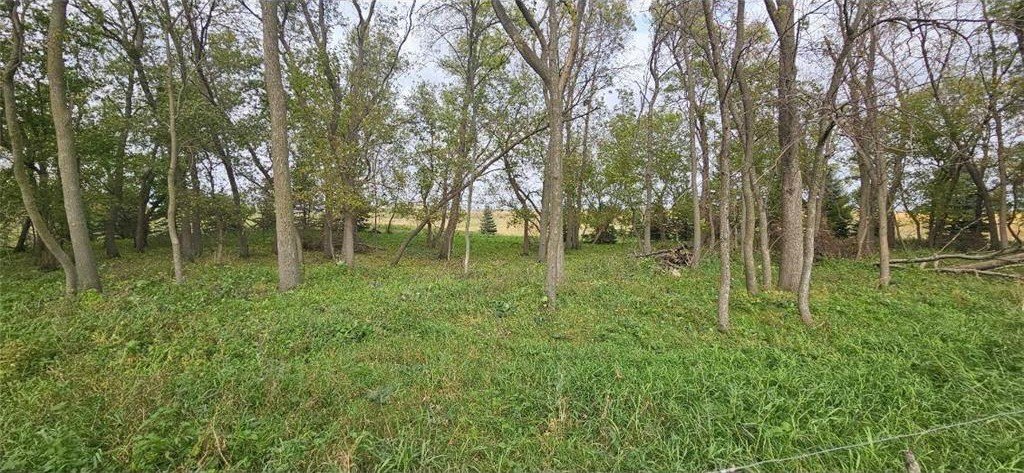 Osakis, Minnesota, 56360, United States, 3 Bedrooms Bedrooms, ,1 BathroomBathrooms,Residential,For Sale,1983386