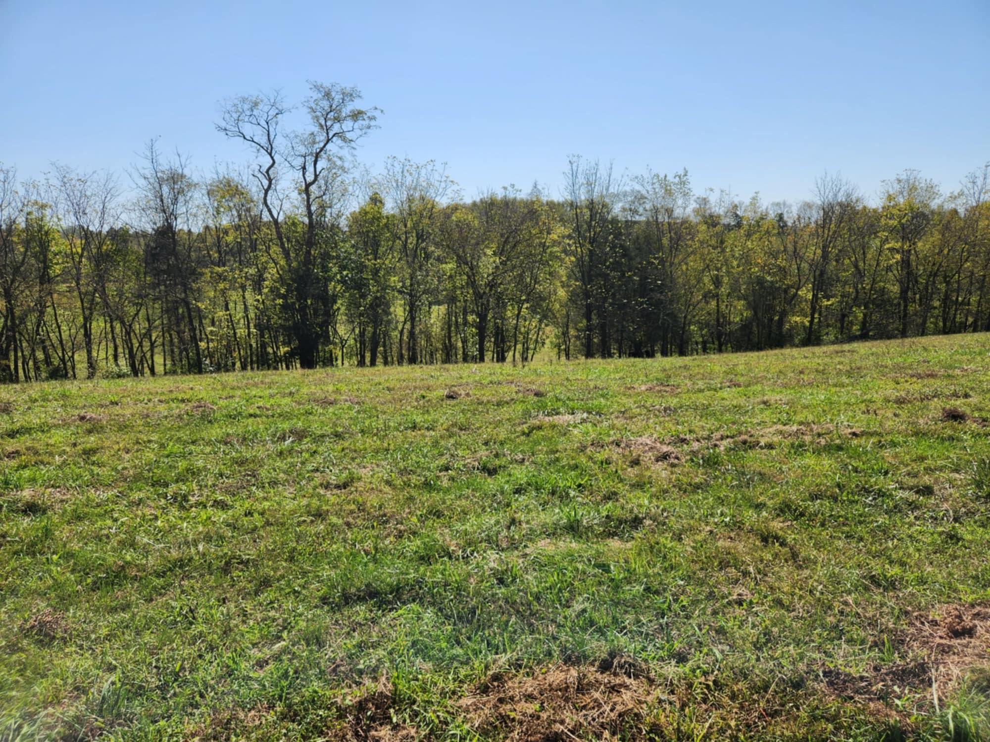 Flemingsburg, Kentucky, 41041, United States, 3 Bedrooms Bedrooms, ,2 BathroomsBathrooms,Residential,For Sale,1915775