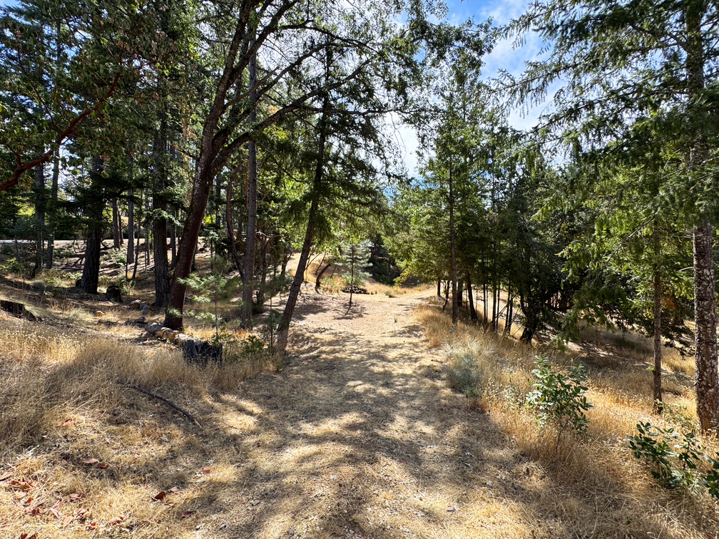 Willits, California, 95490, United States, 2 Bedrooms Bedrooms, ,2 BathroomsBathrooms,Residential,For Sale,1943077
