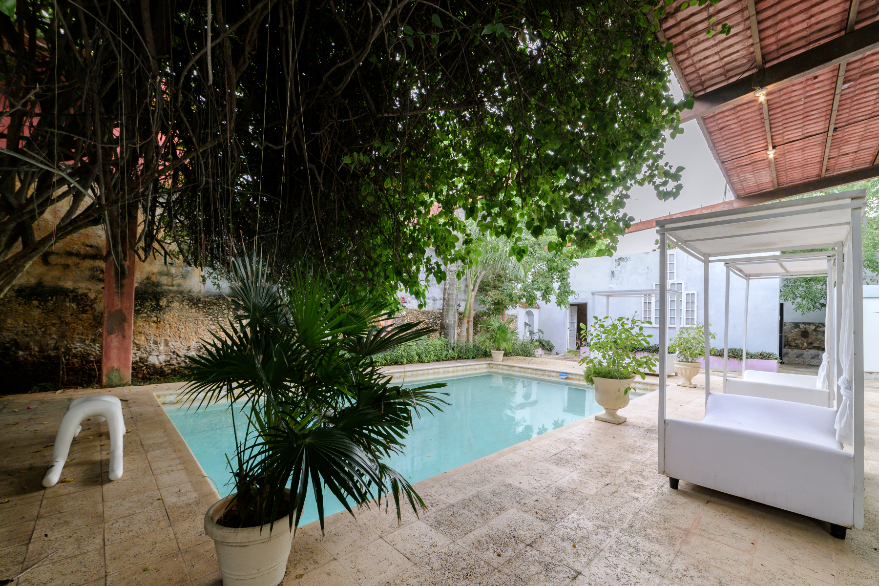  DOWNTOWN MERIDA HERITAGE RETREAT - 物件實景