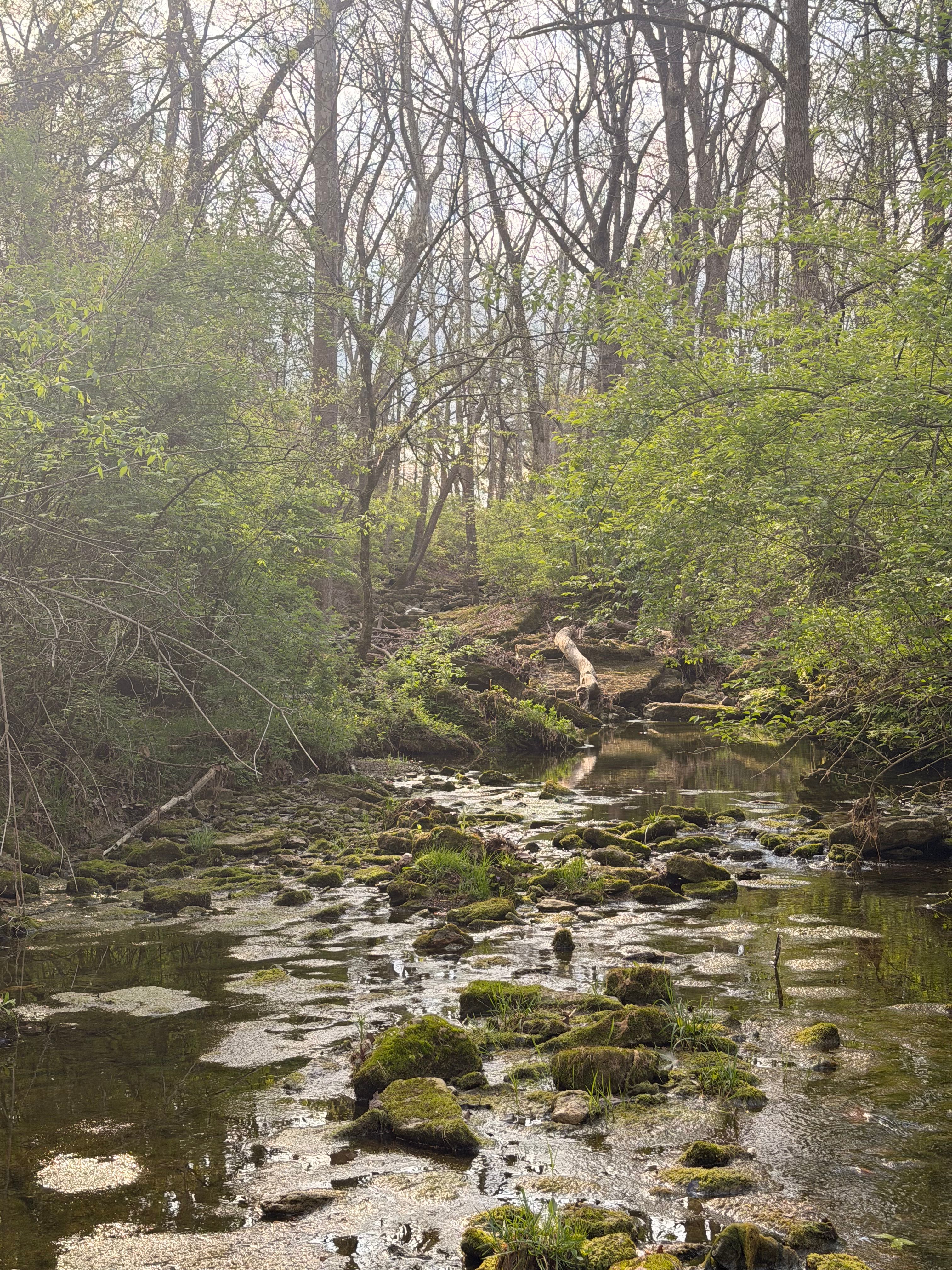  1574 Wales Run Road, Mount Washington, KY 40047 - 物件實景