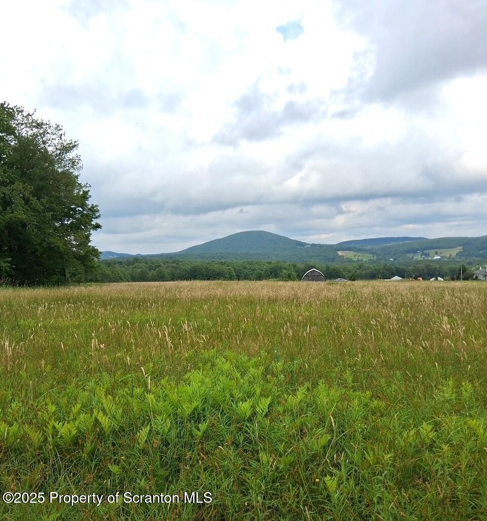 Union Dale, Pennsylvania, 18470, United States, ,Land,For Sale,1975755