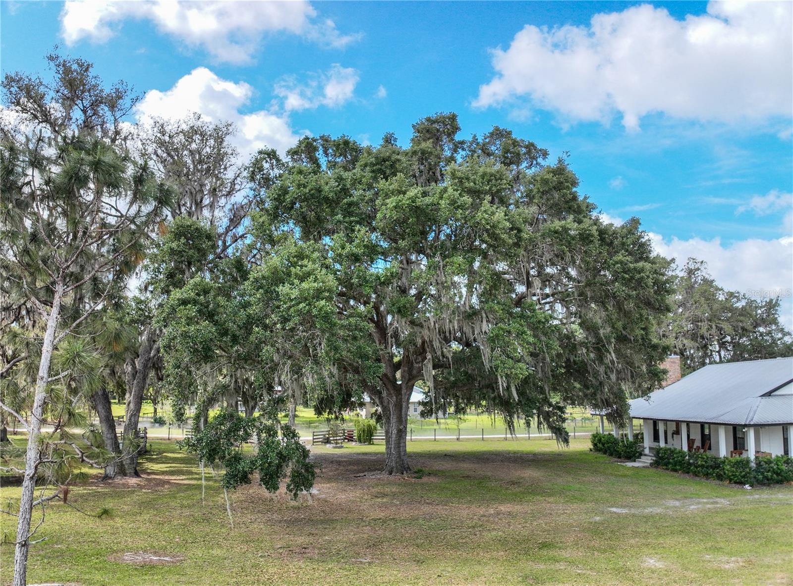 WEBSTER, Florida, 33597, United States, 4 Bedrooms Bedrooms, ,3 BathroomsBathrooms,Residential,For Sale,1793713