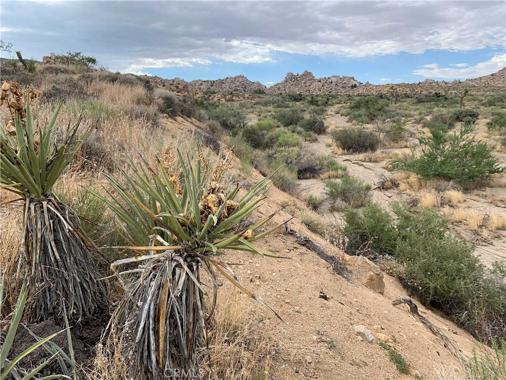 200 Gods Way Love Road W, Pioneertown, California, 92268, United States, ,Land,For Sale,200 Gods Way Love Road W,1435338