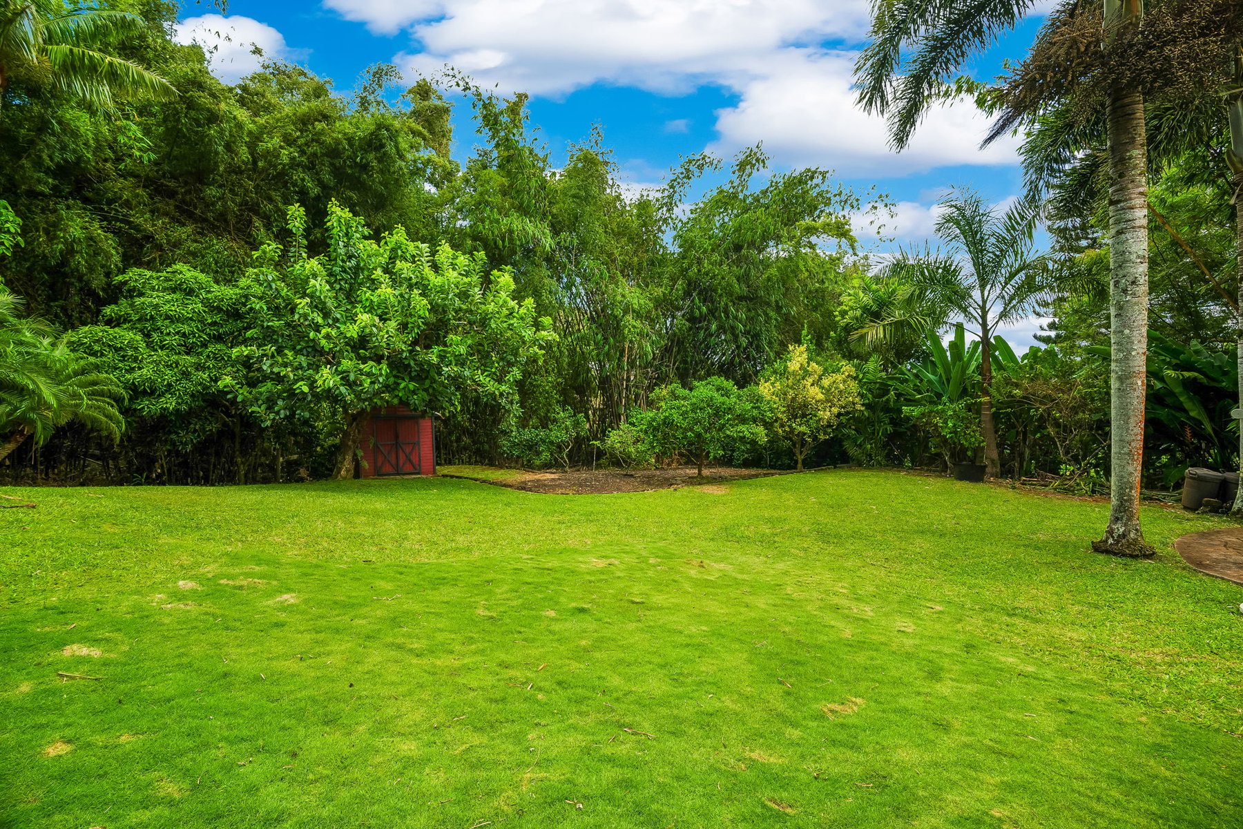  1328 Ihona Pl, Kapaa, HI, 96746 - 物件實景