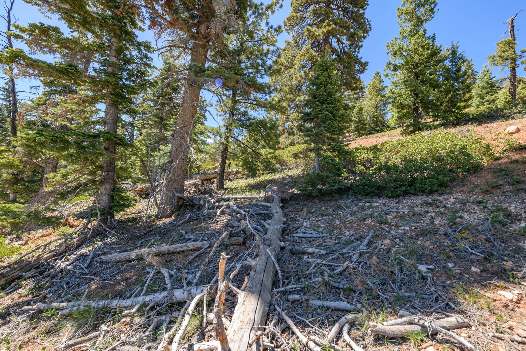  Quiet Mountain Retreat Near Navajo Lake - 物件實景