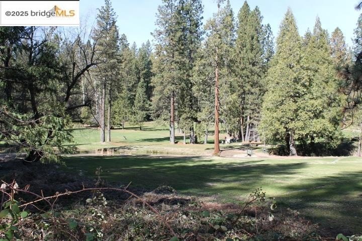 Twain Harte, California, 95383, United States, 4 Bedrooms Bedrooms, ,3 BathroomsBathrooms,Residential,For Sale,1979068