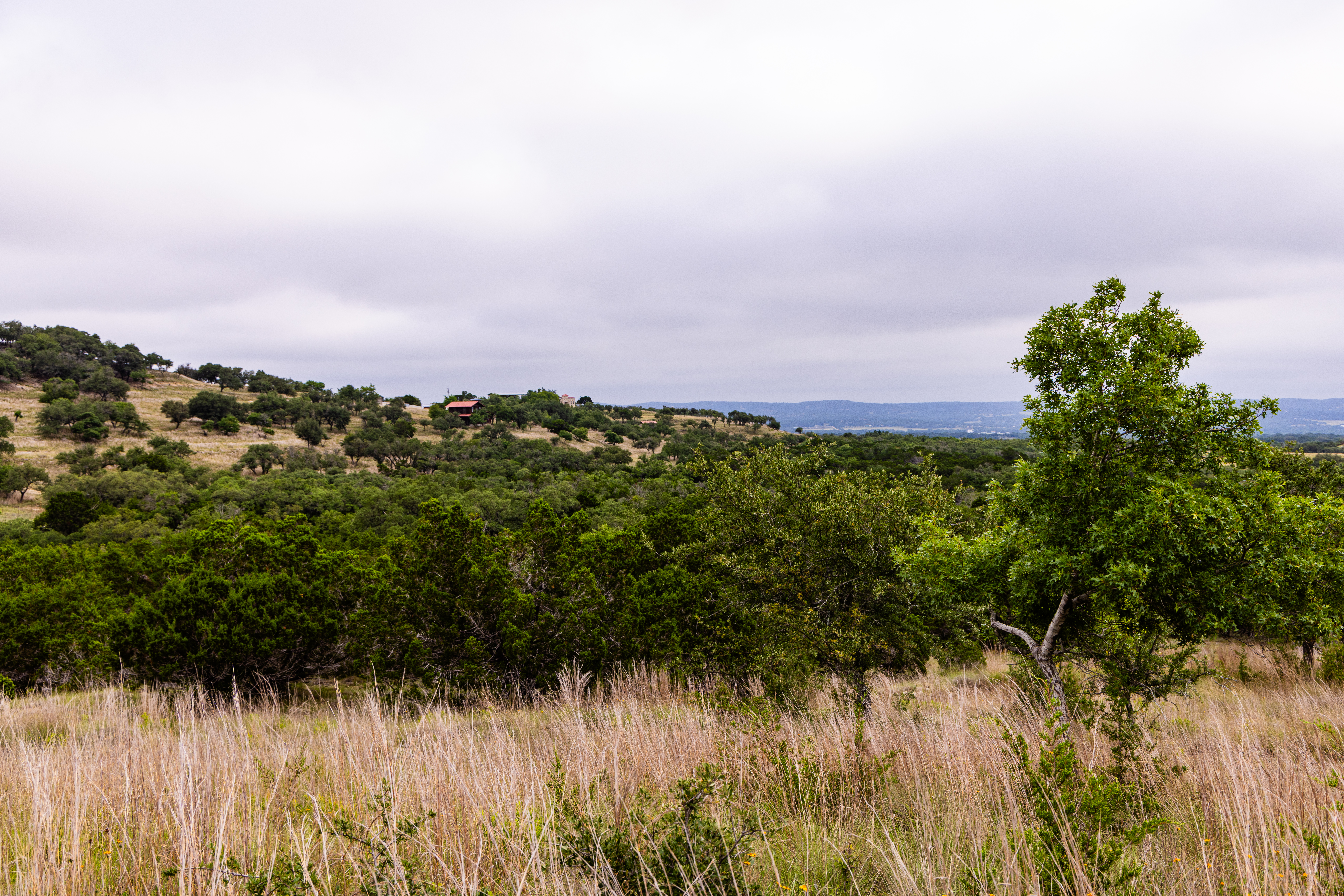  Expansive 10-Acre Lot - 物件實景