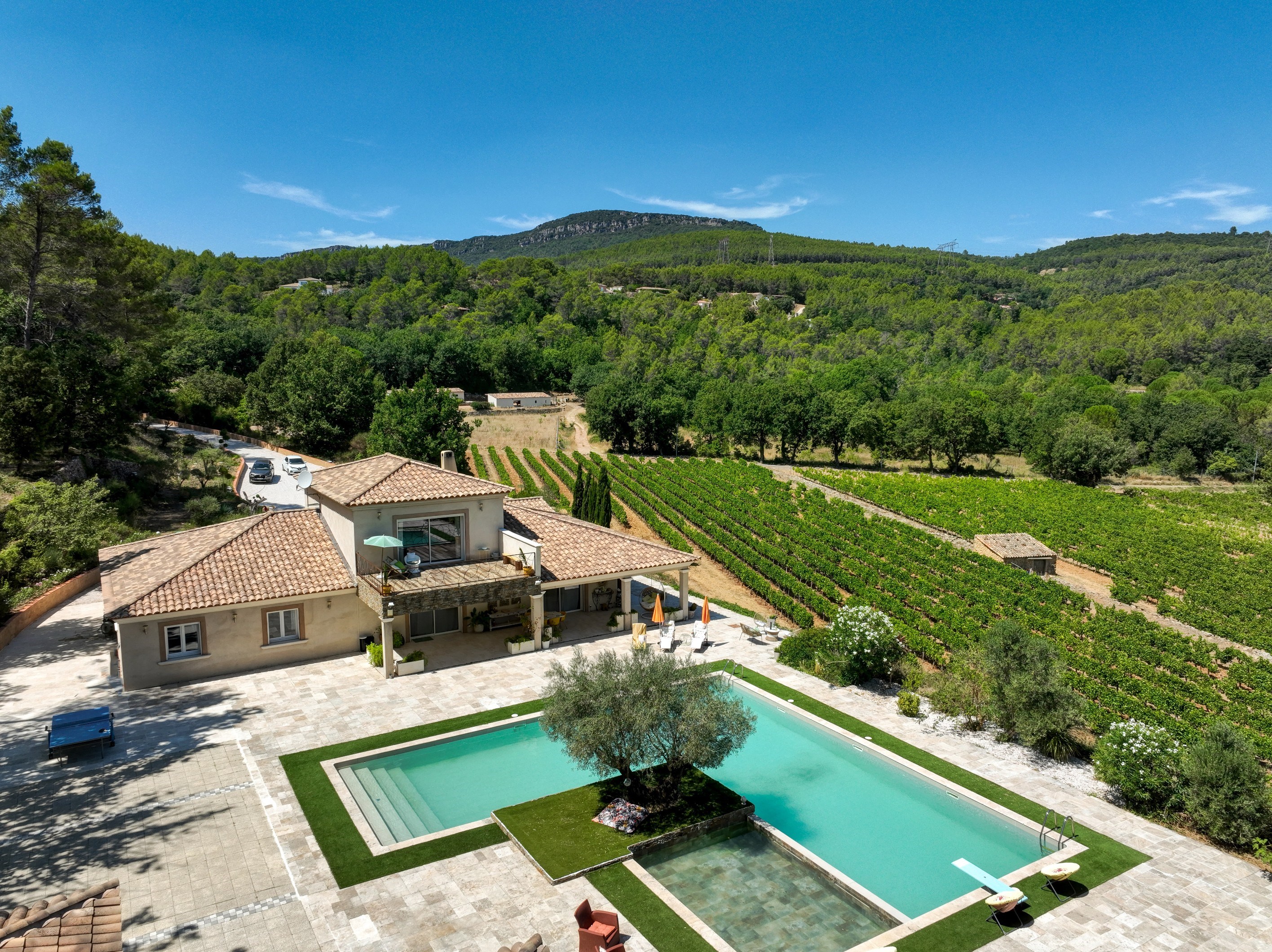  Besse-sur-Issole – Villa with Pool Surrounded by Vineyards - 物件實景